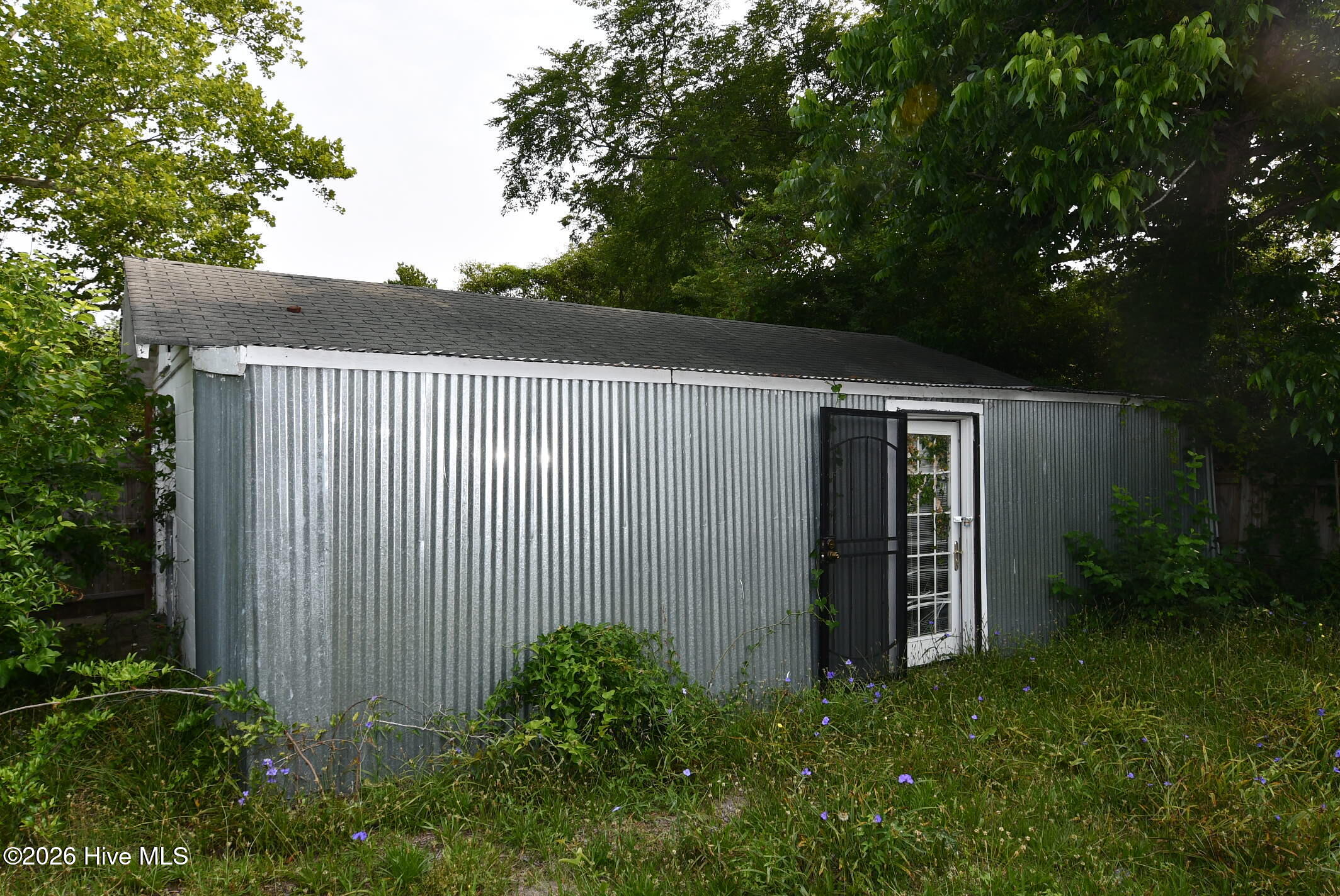 100554668 | Photo 12