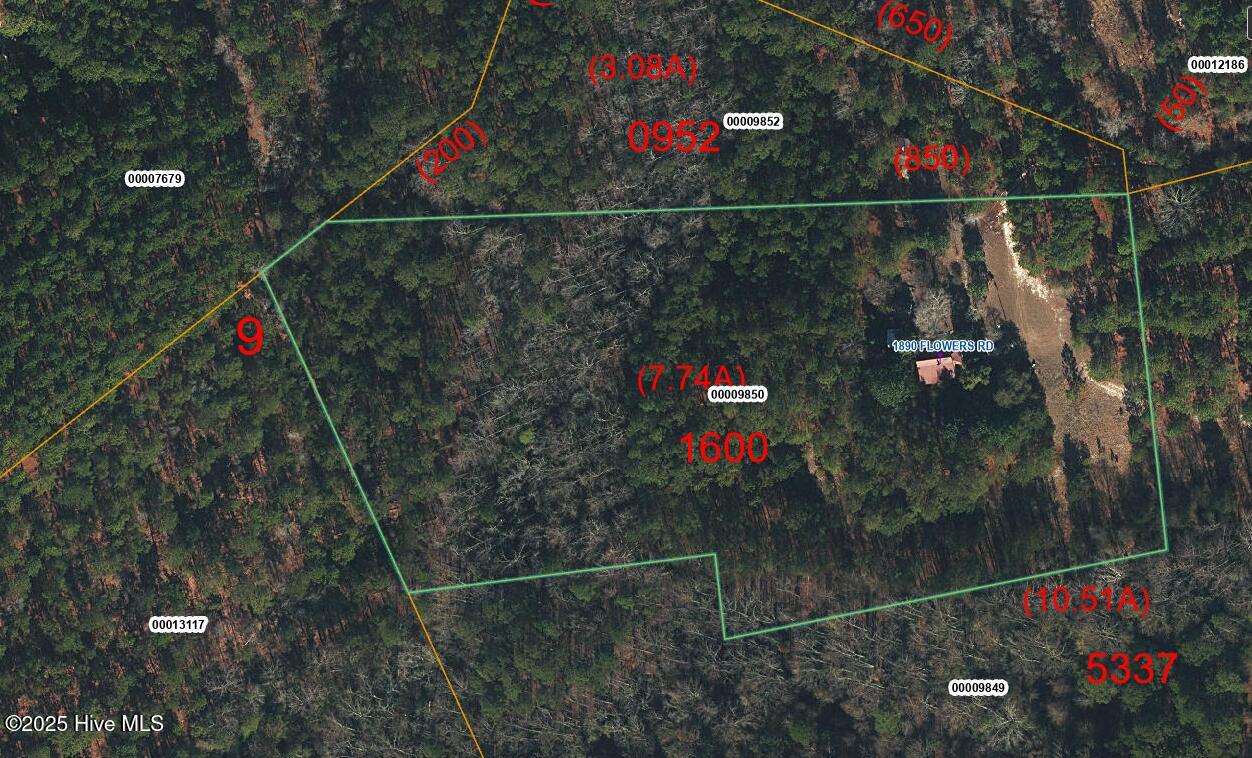 1890 Flowers Rd_GIS_2
