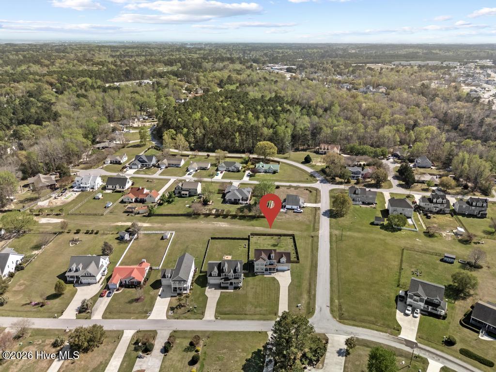 100564951 | Photo 58