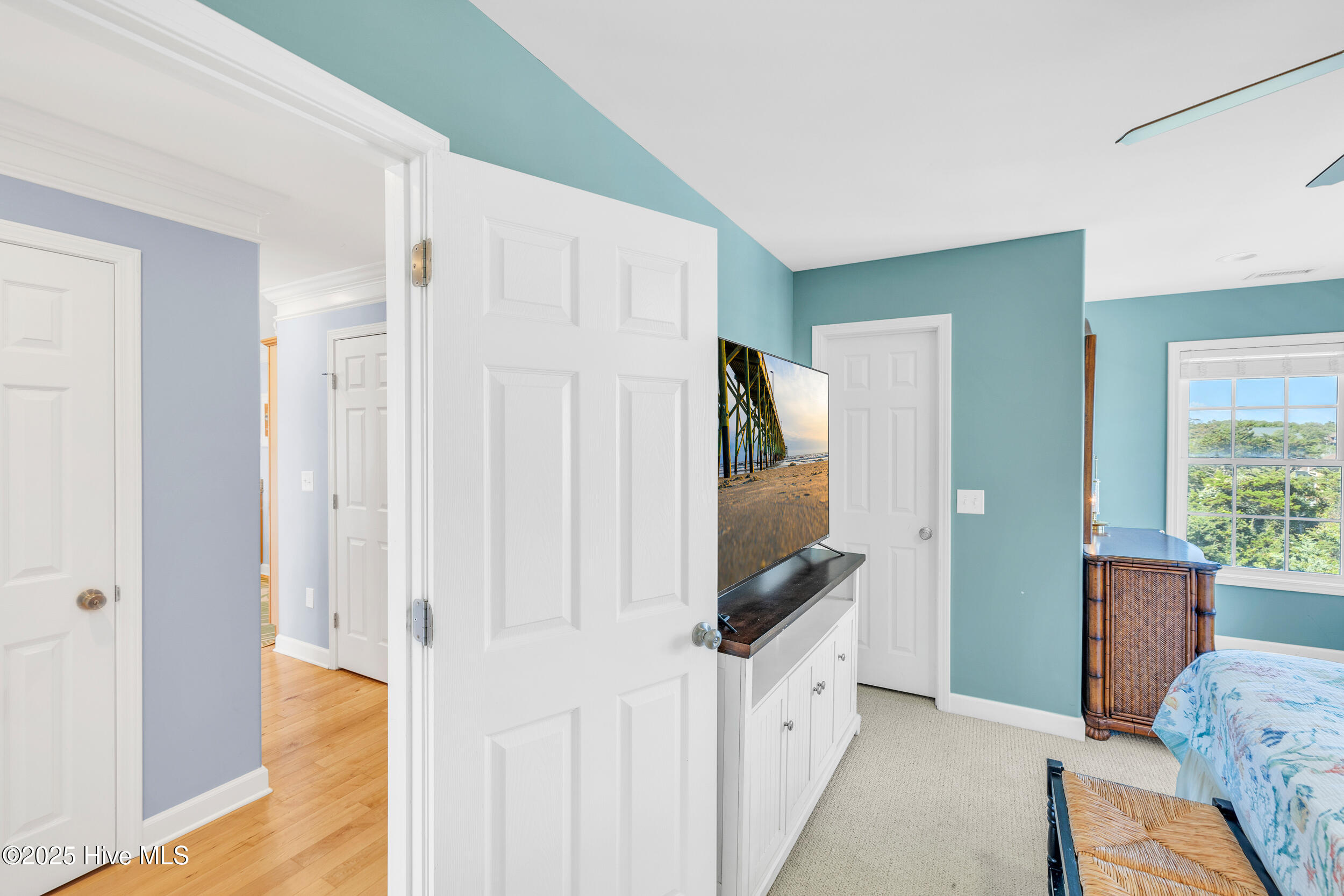 100509917 | Photo 17