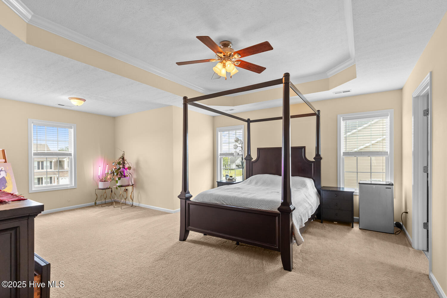 100535732 | Photo 27