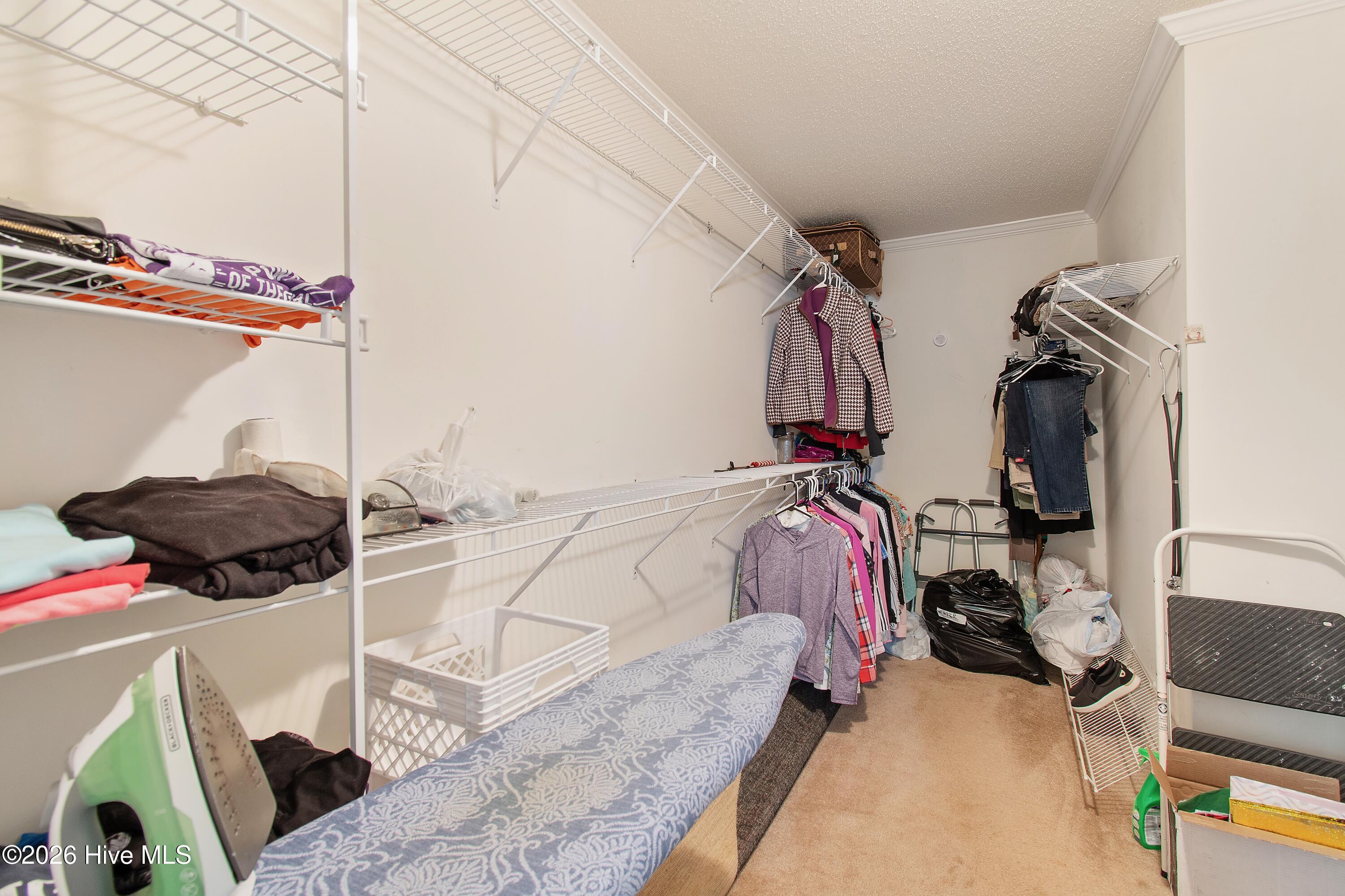 100568231 | Photo 37