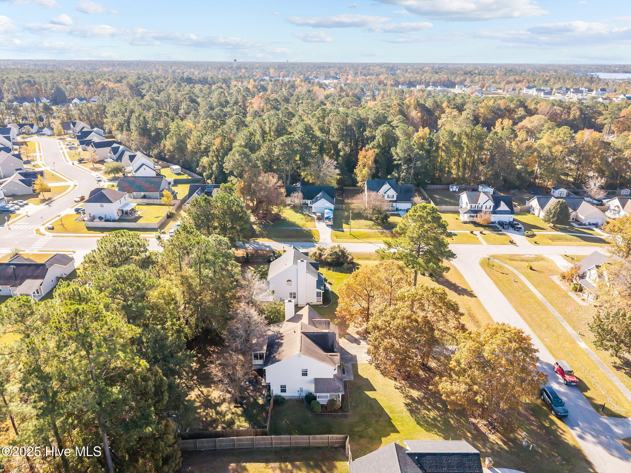 100541595 | Photo 58