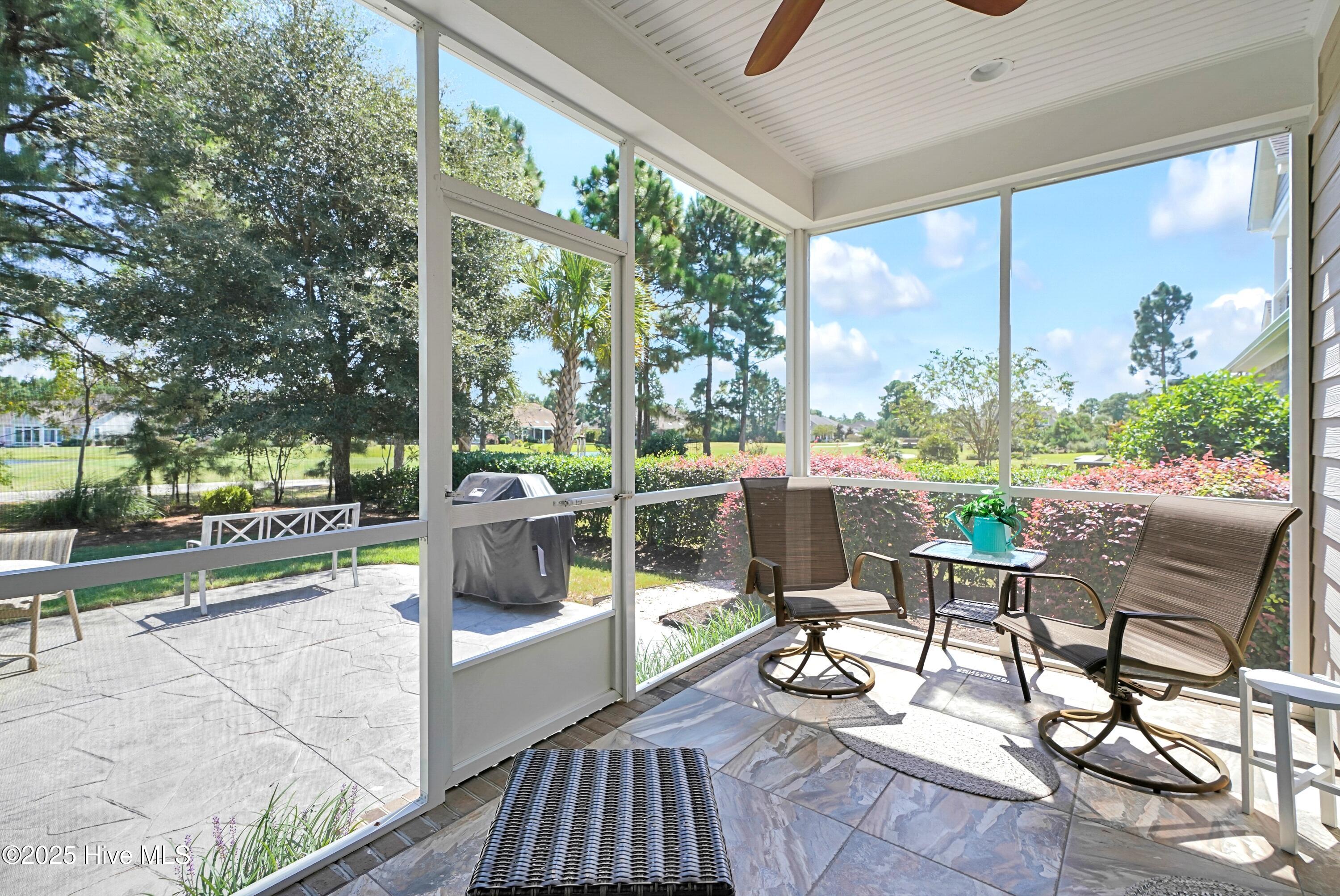 100557169 | Photo 23