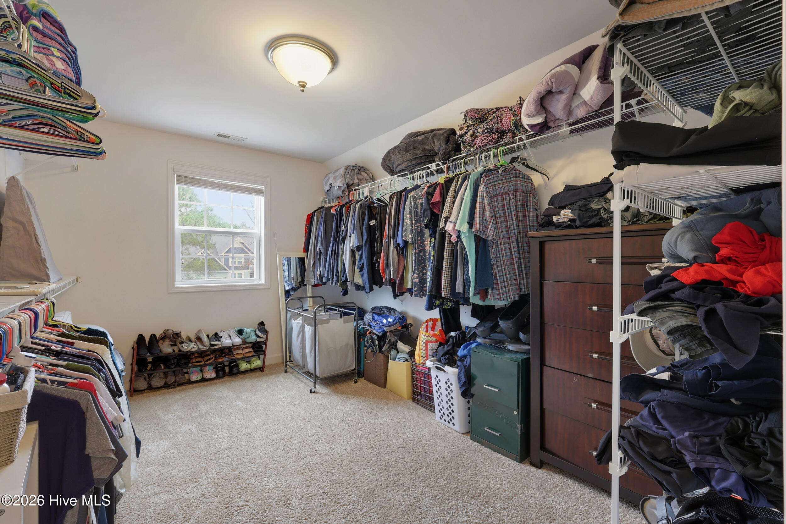 100562179 | Photo 36