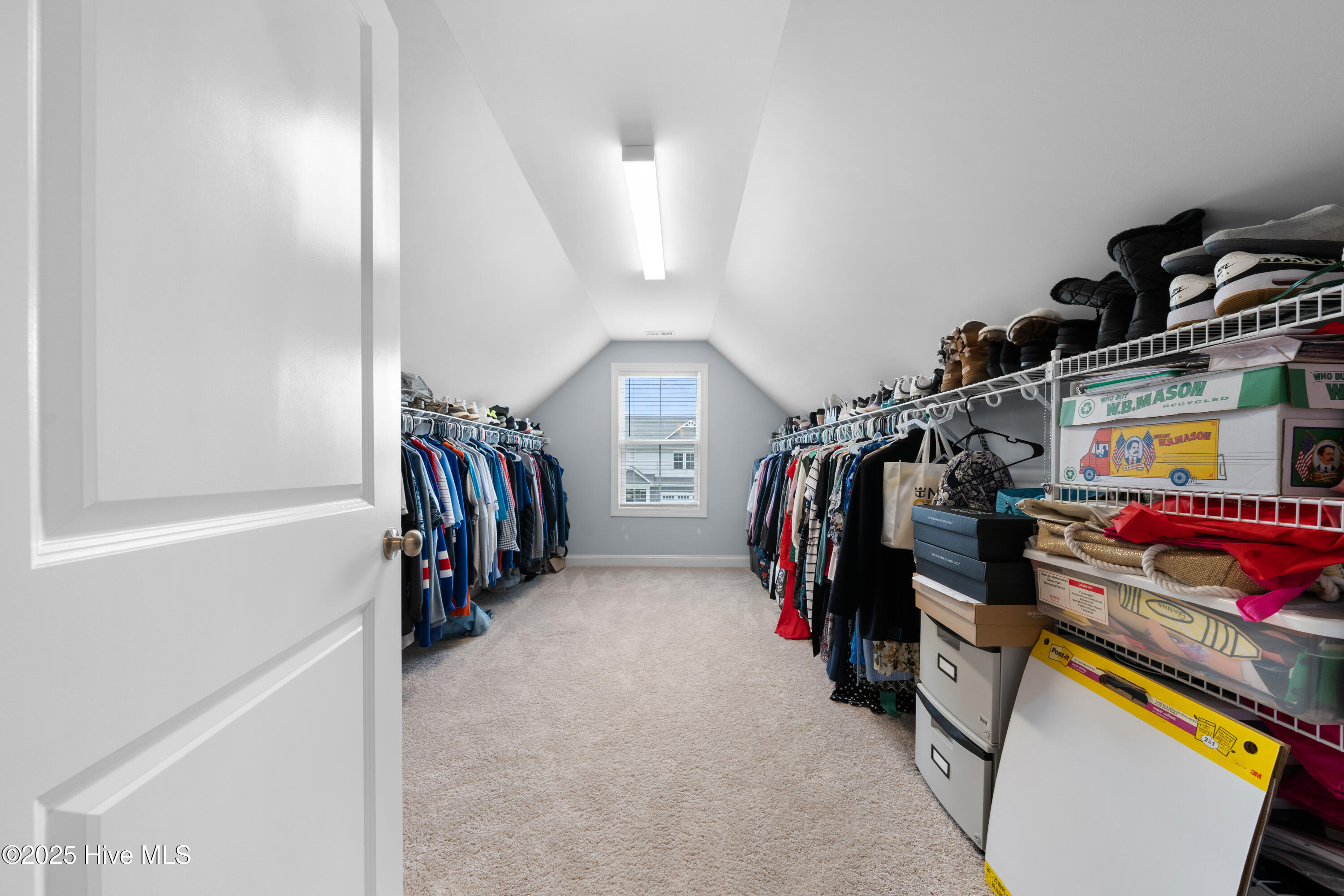 100512596 | Photo 42