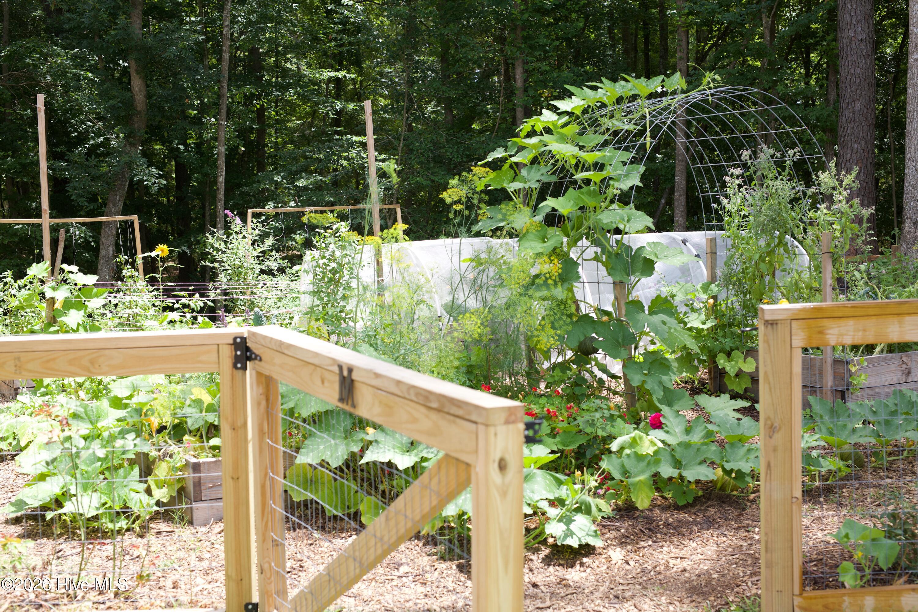 100558735 | Photo 71