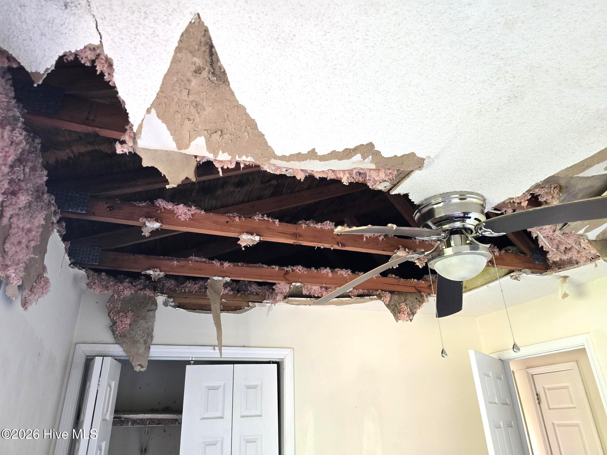 100567679 | Photo 23