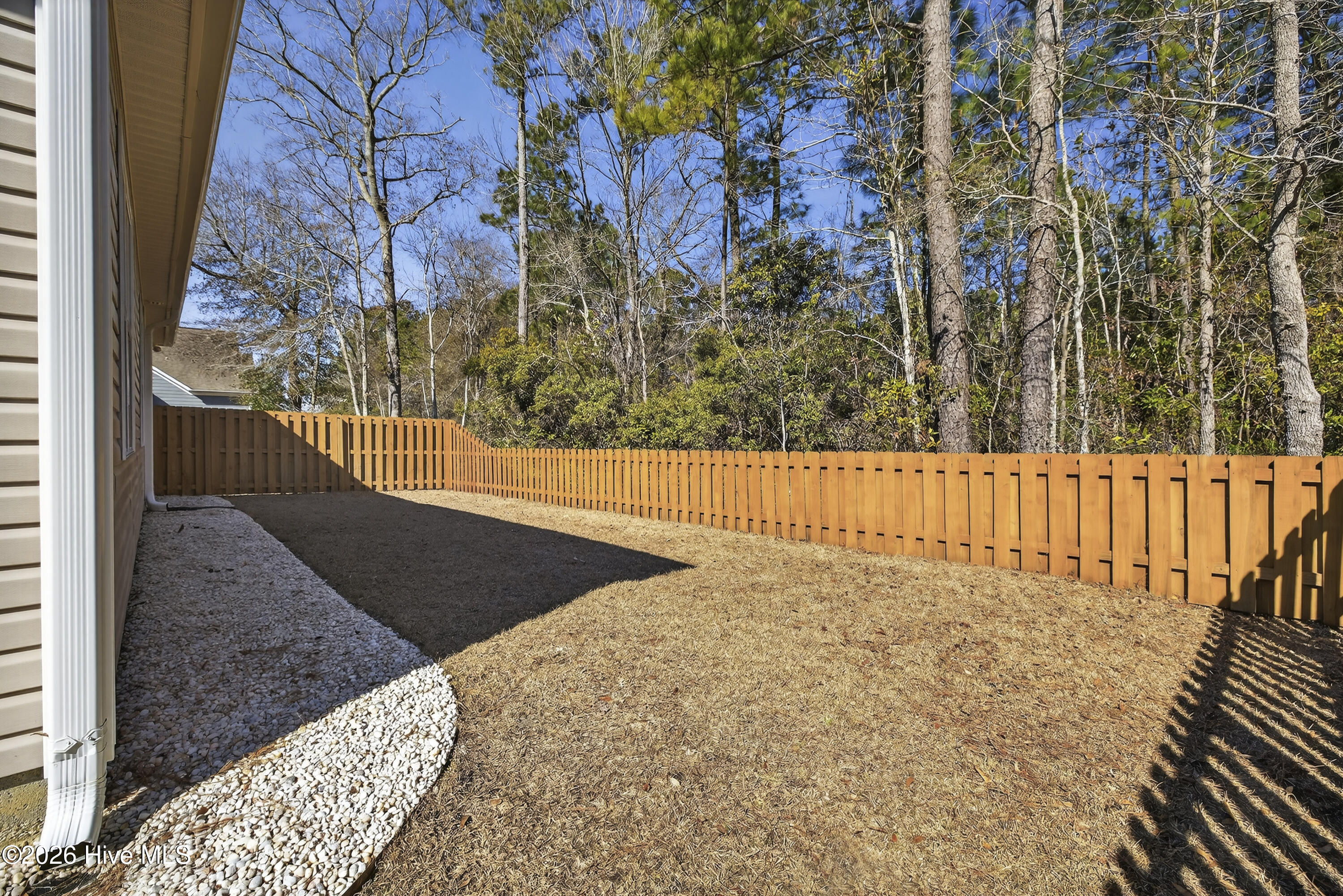 100552916 | Photo 10