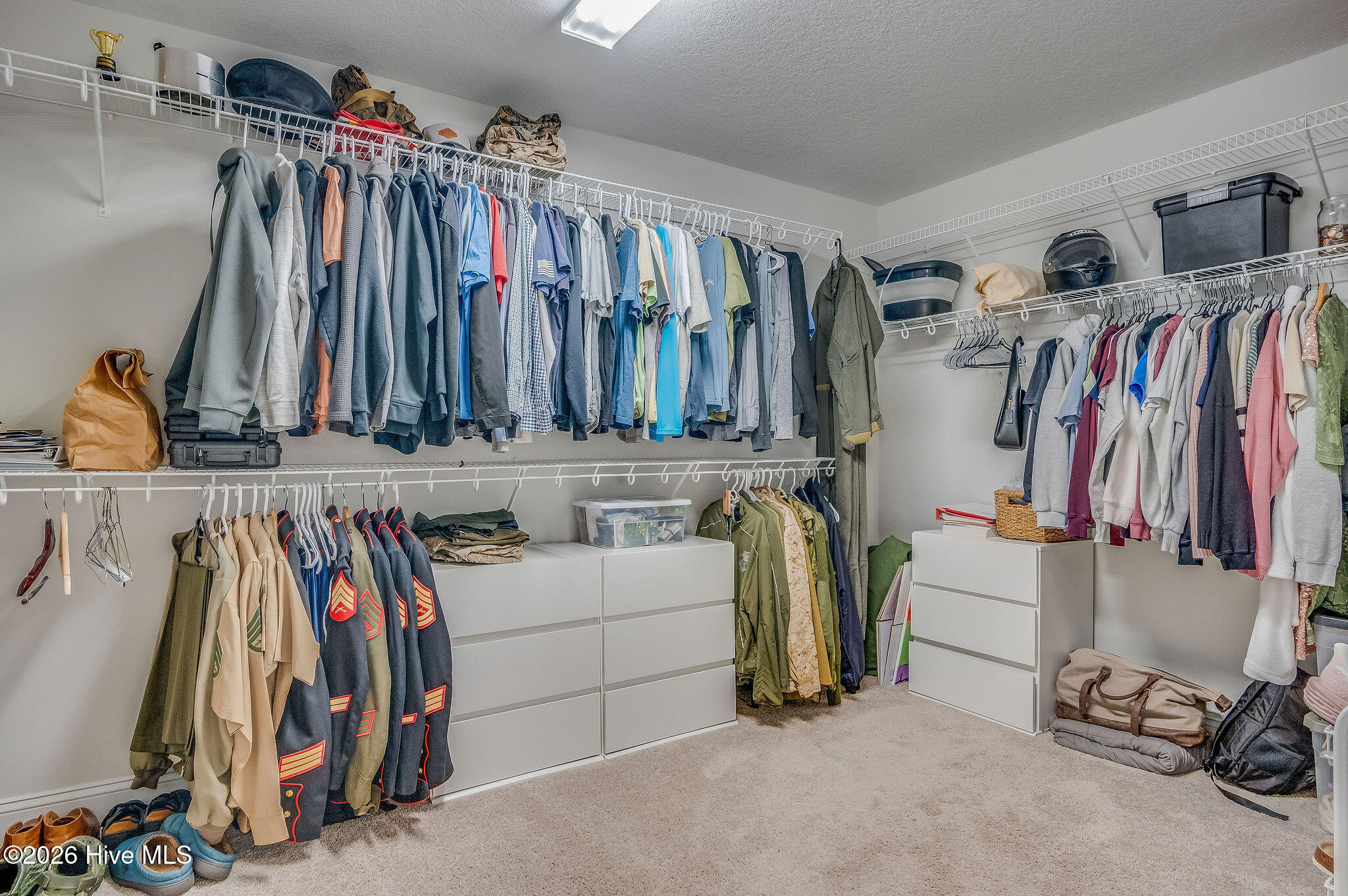 100568428 | Photo 30