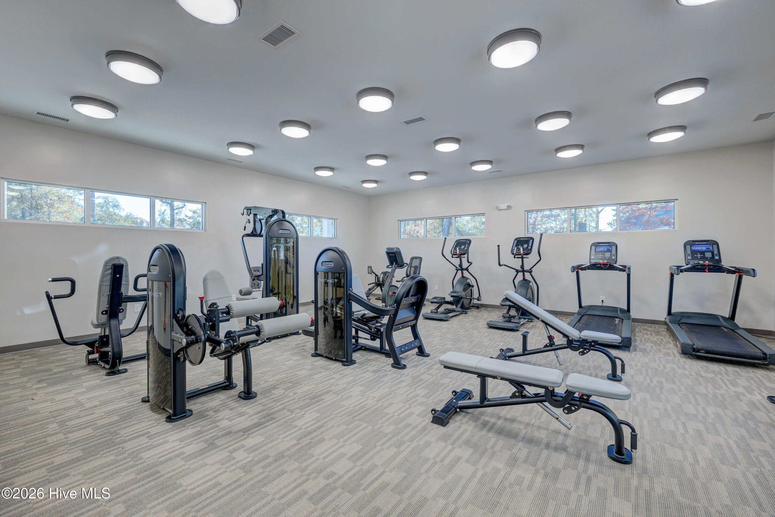 100558964 | Photo 34