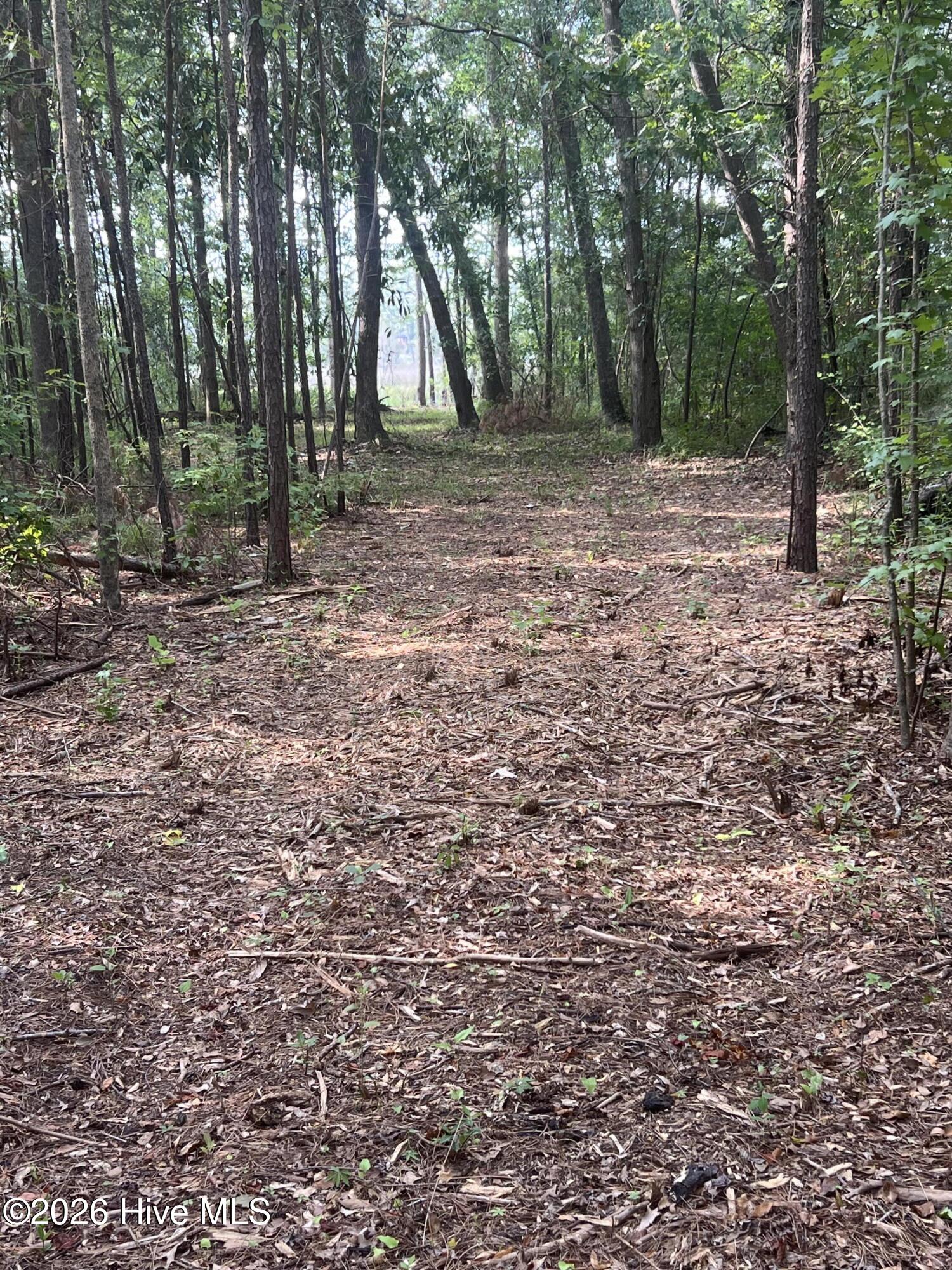 Recently opened up the roadside and trails with a forestry mulcher.
