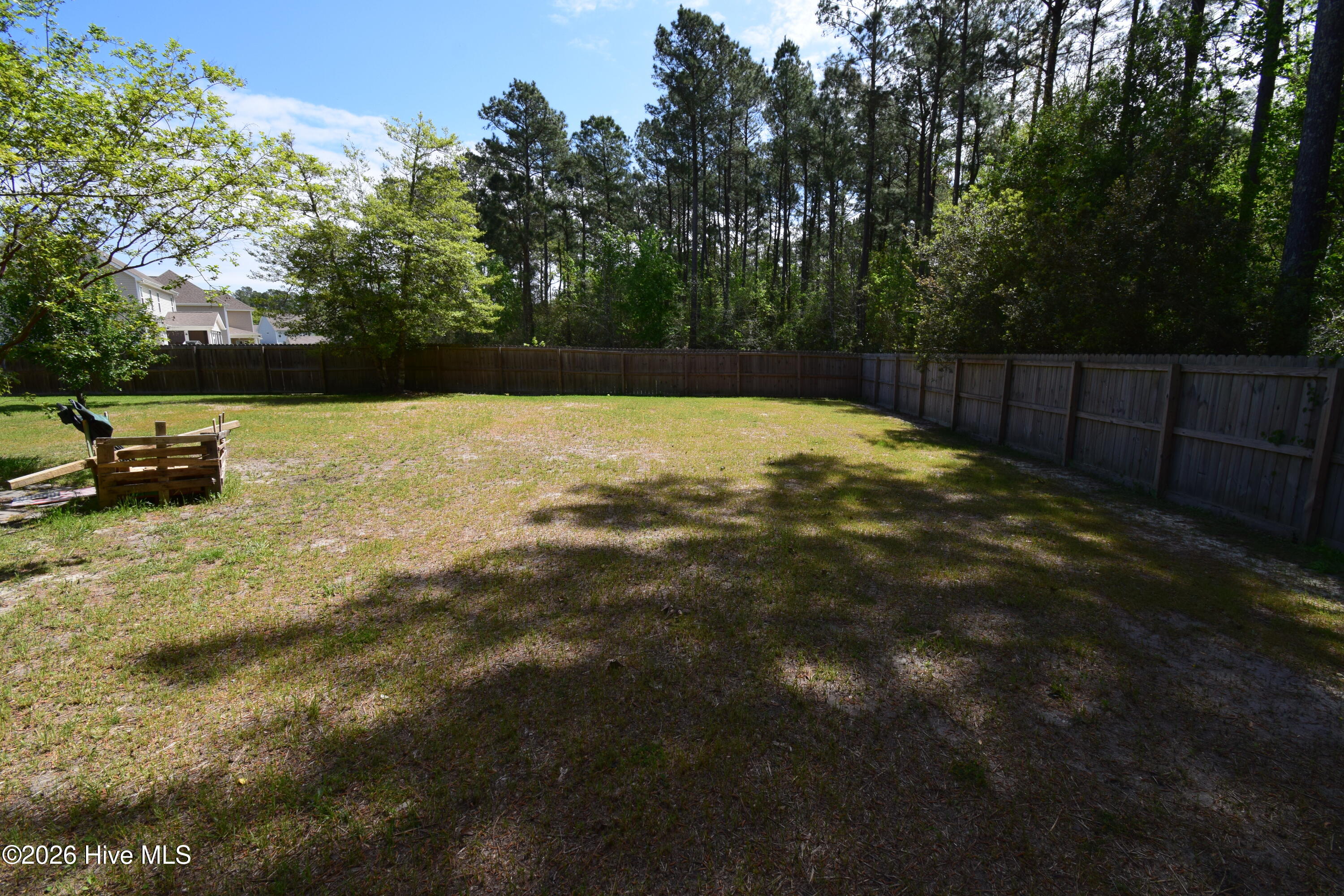 100566647 | Photo 54