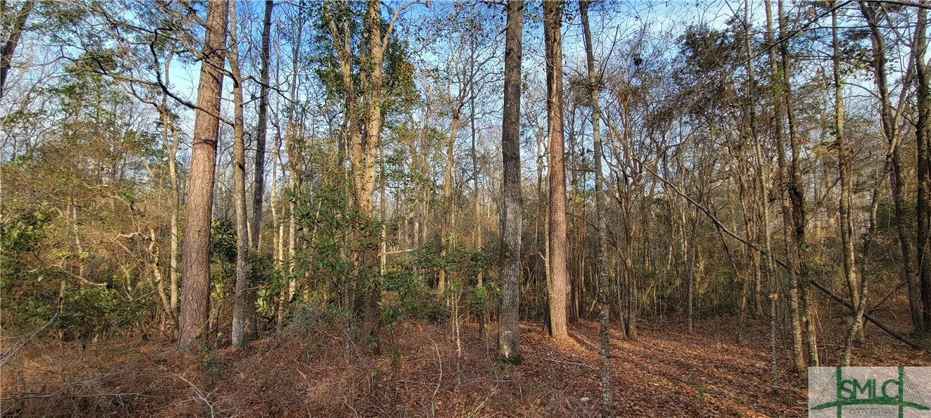 Homes for sale in Ellabell, GA | 0 Pine Needle Dr, Ellabell, GA 31308 | MLS# SA281939