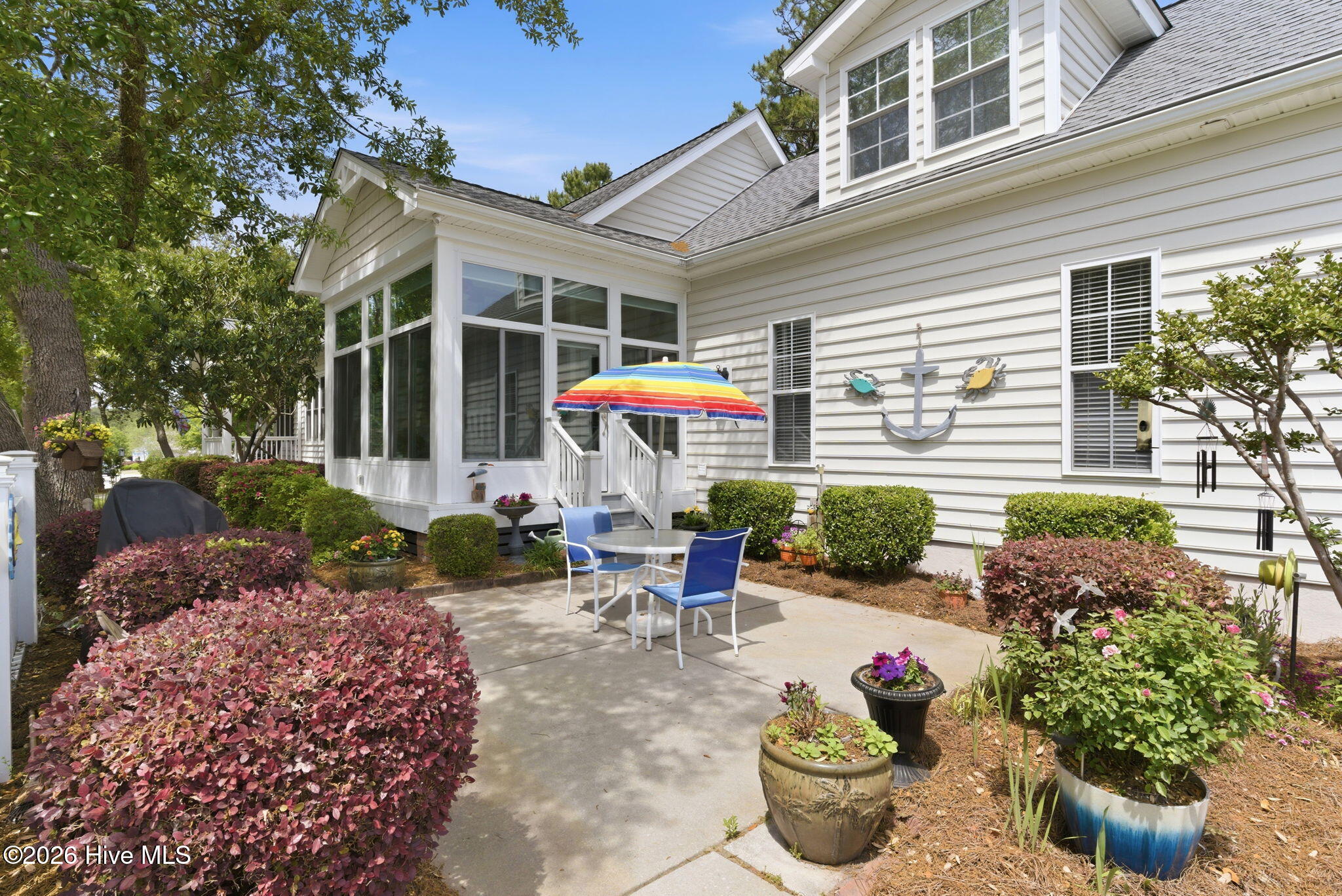 100569459 | Photo 38