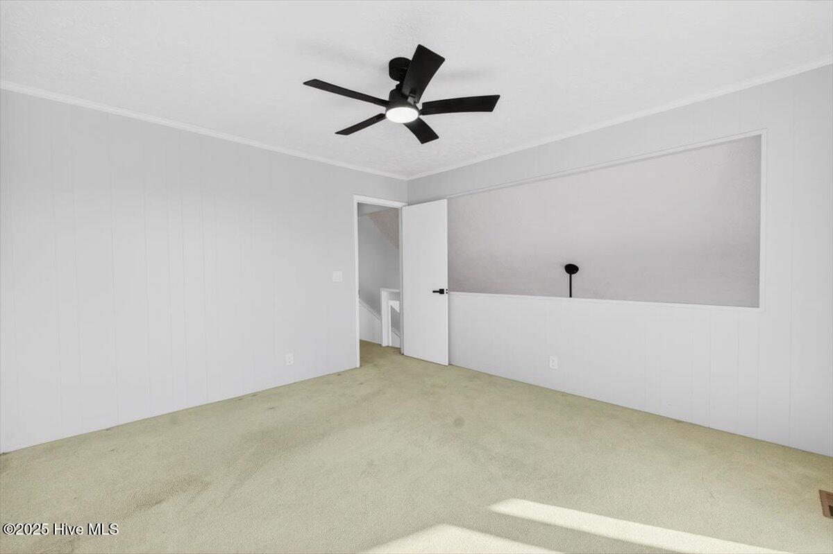 100531909 | Photo 22