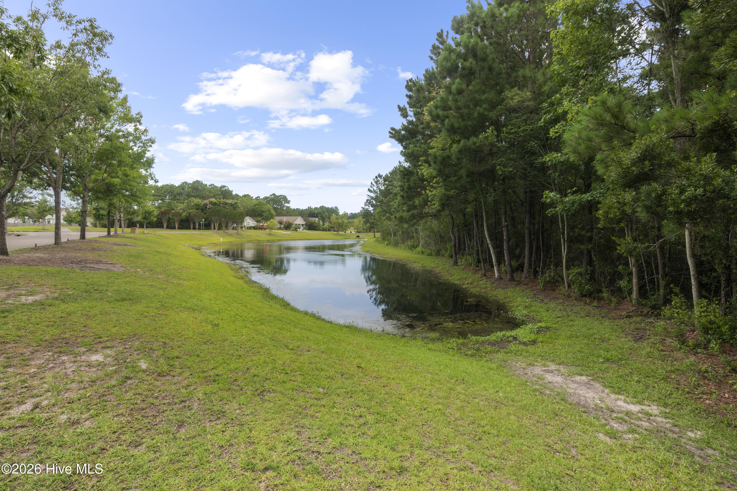 100567019 | Photo 11