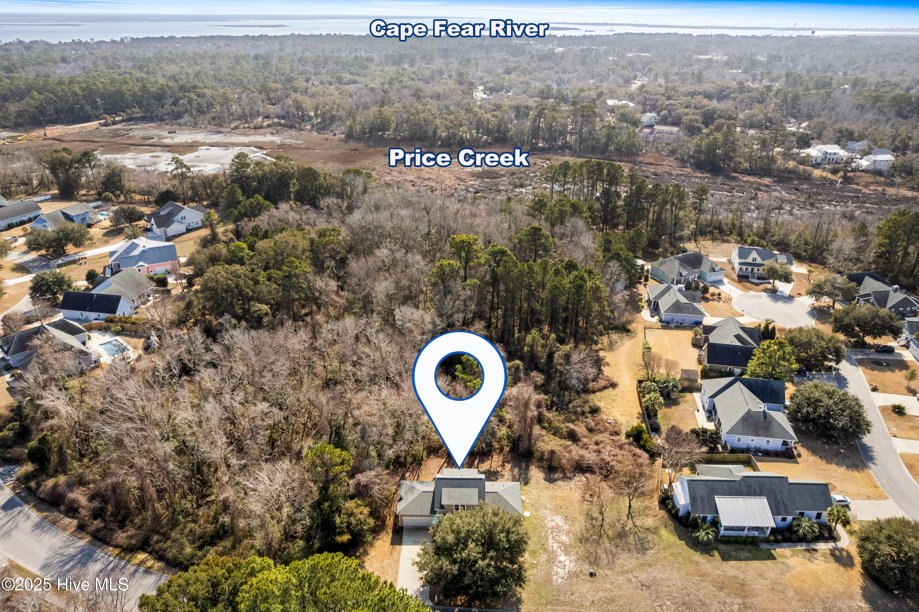 100529513 | Photo 46