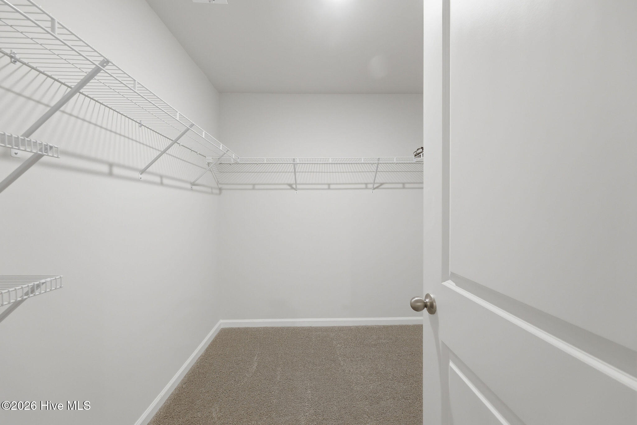 100568433 | Photo 27