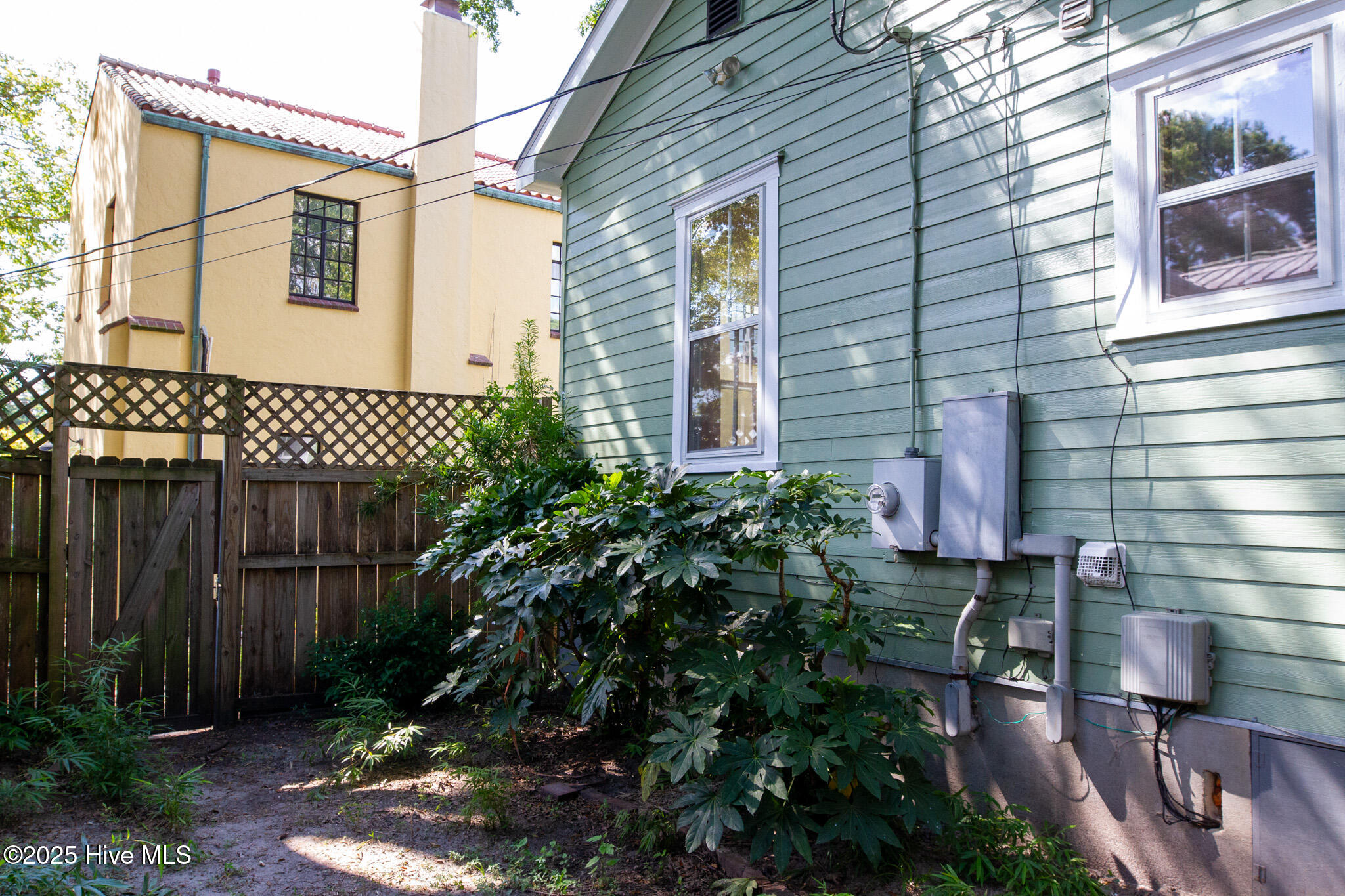 100528129 | Photo 61