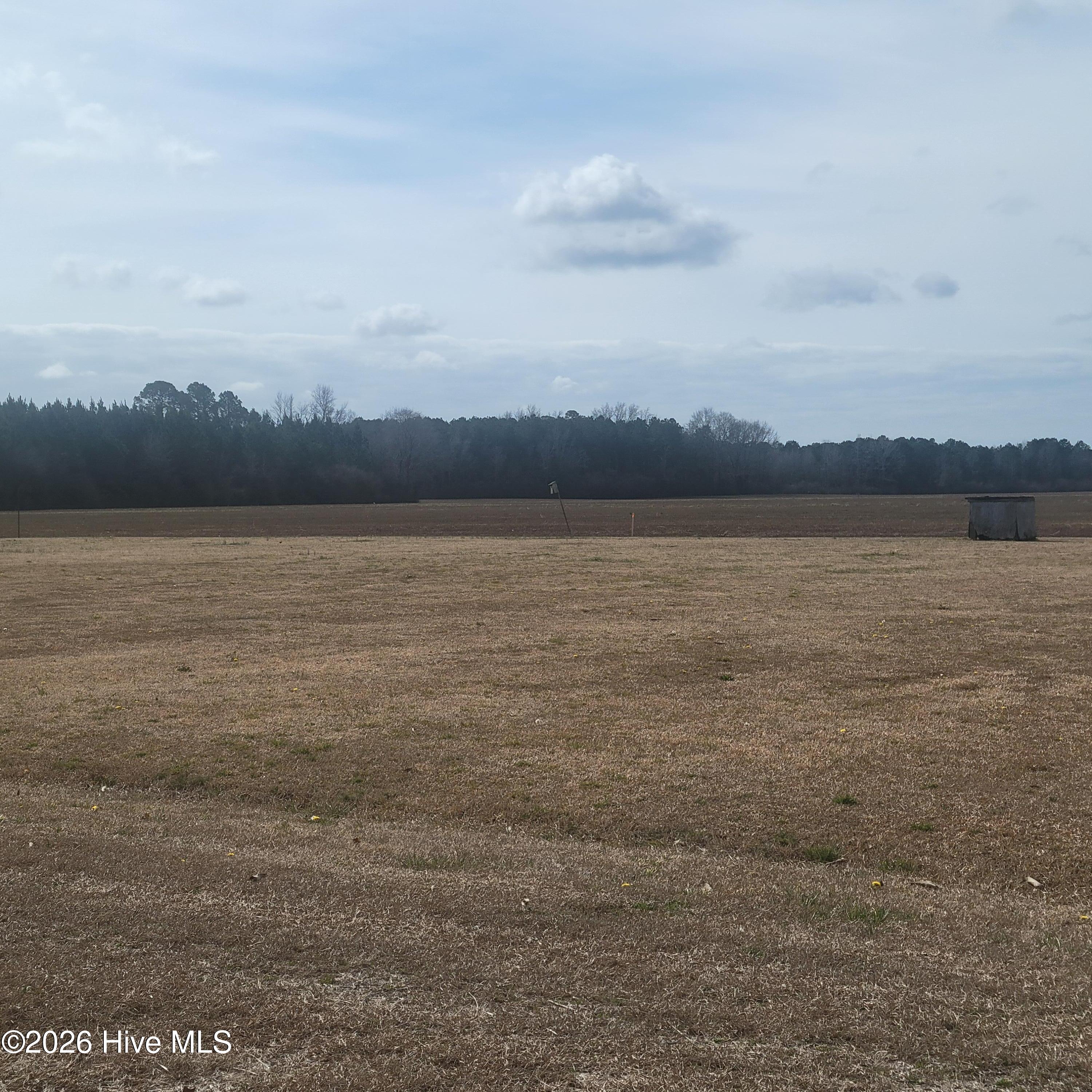 Undisclosed Address, Willard, NC, 28478