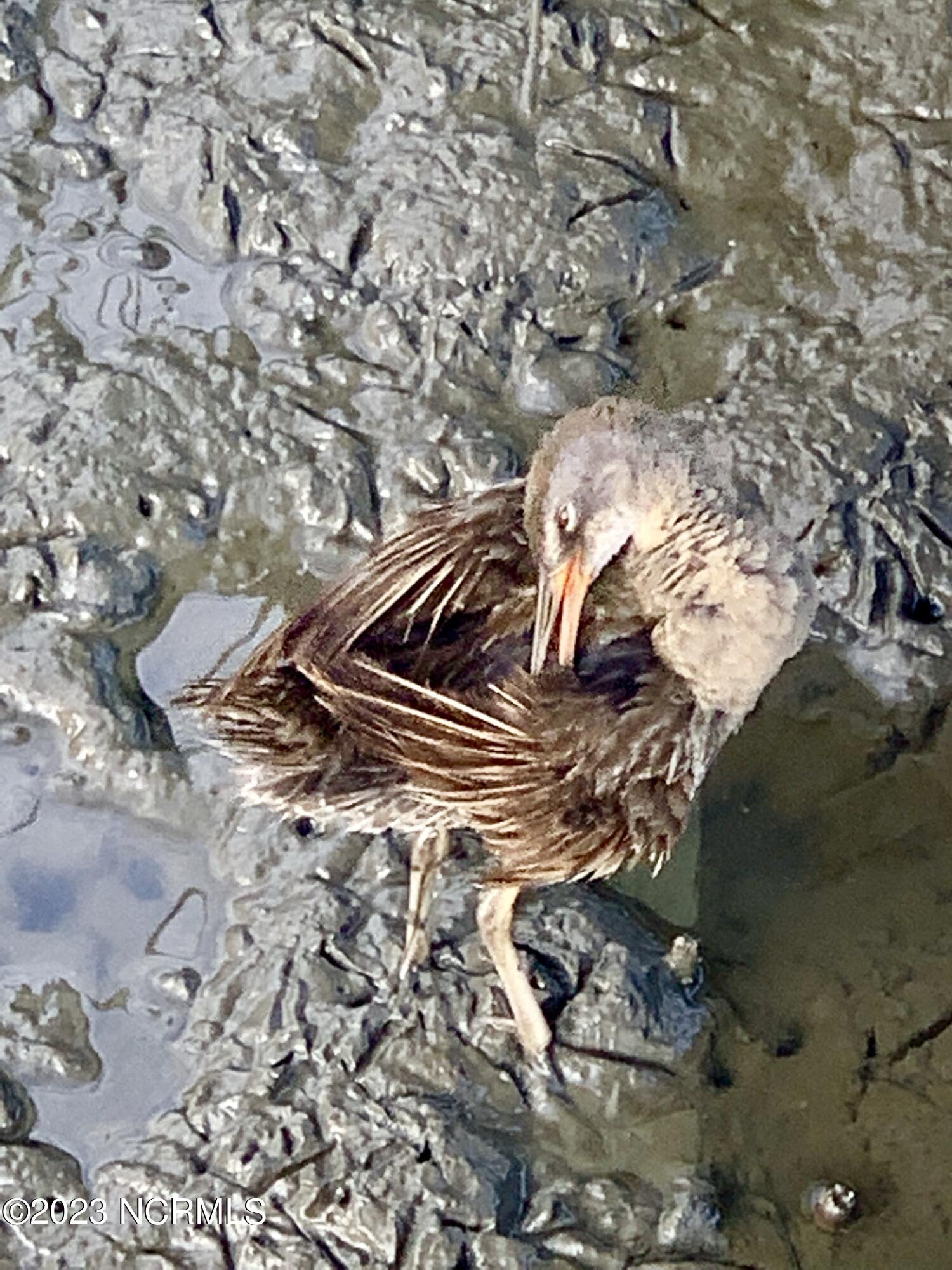 100388234 | Photo 31