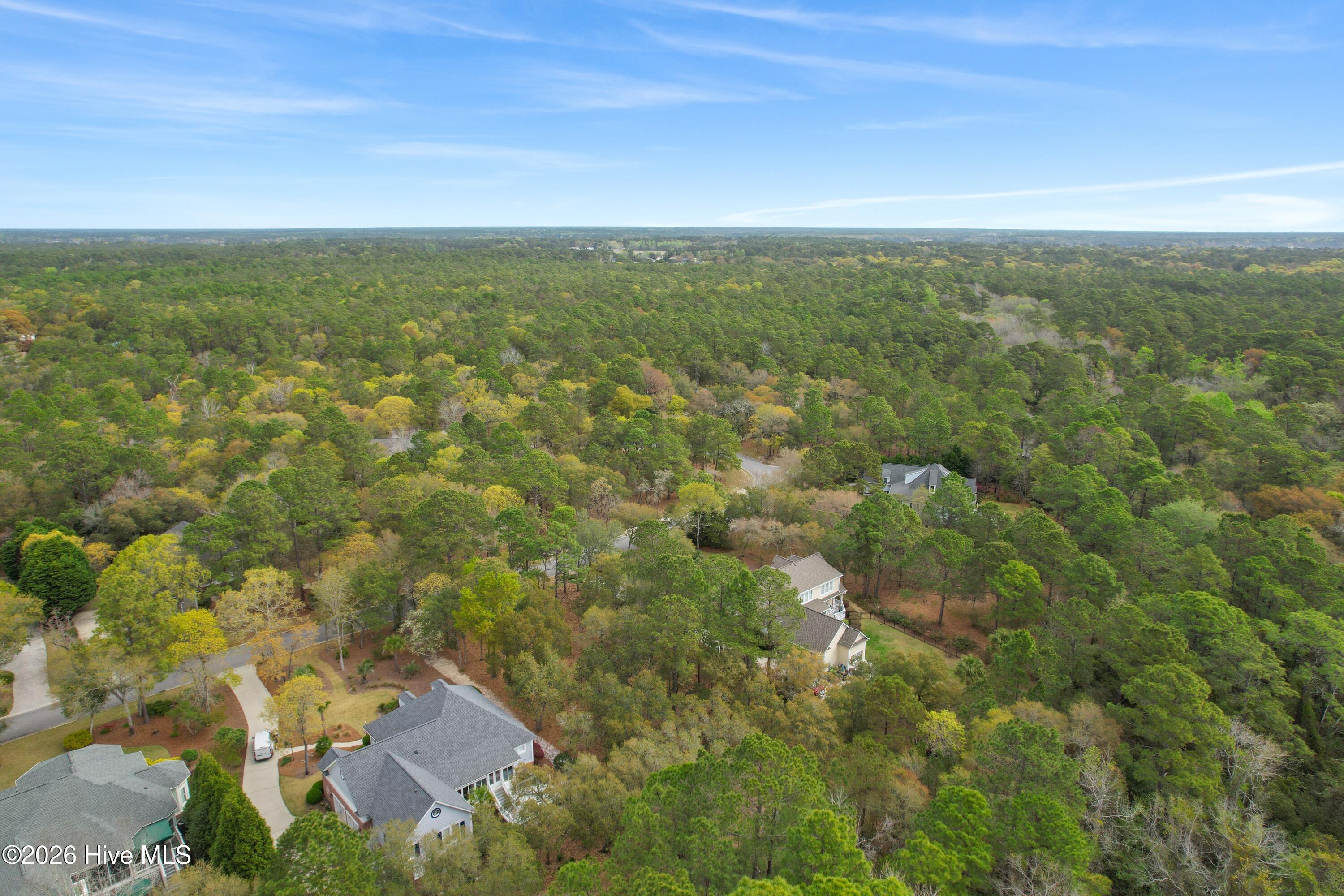 100565243 | Photo 16