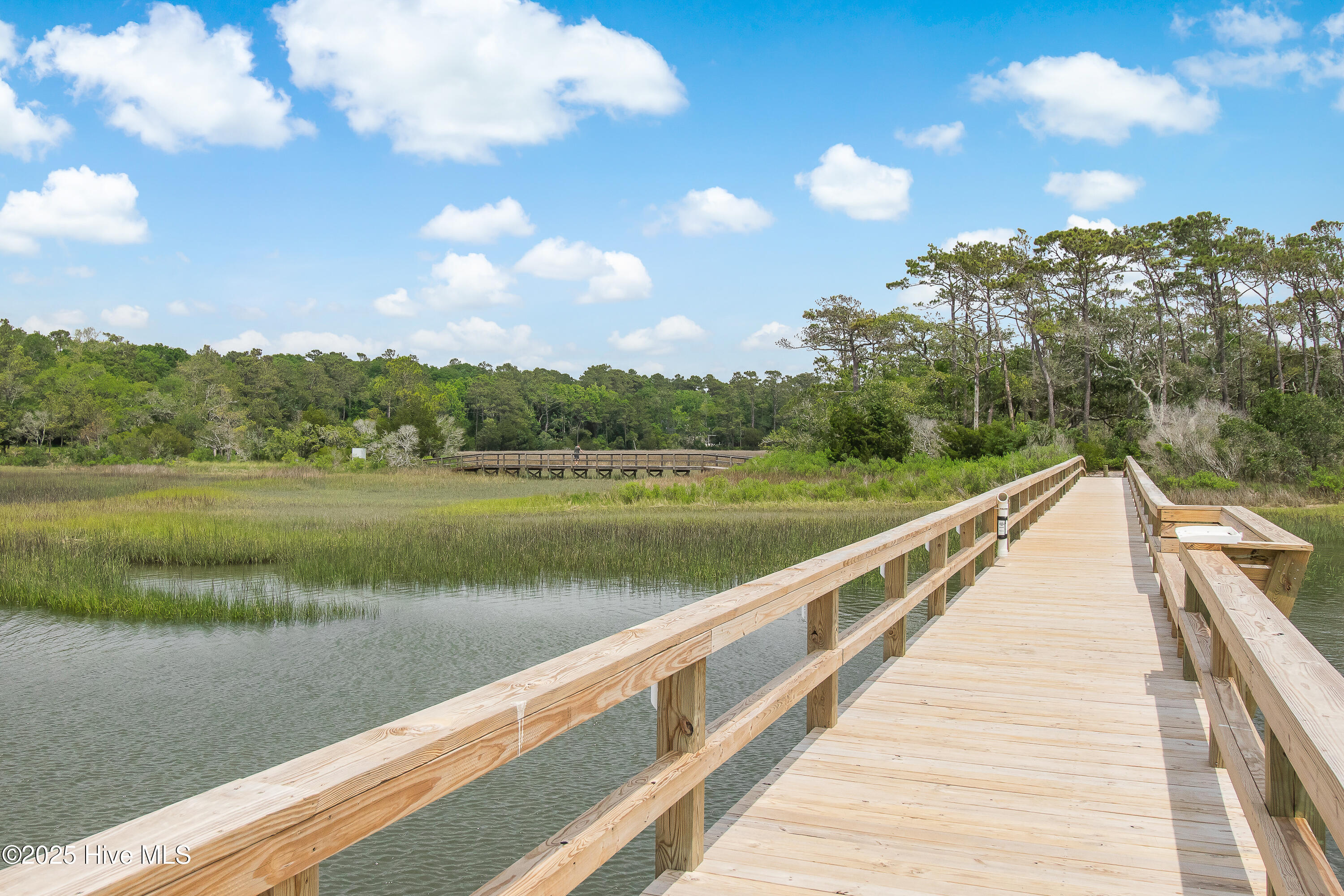 100536639 | Photo 94