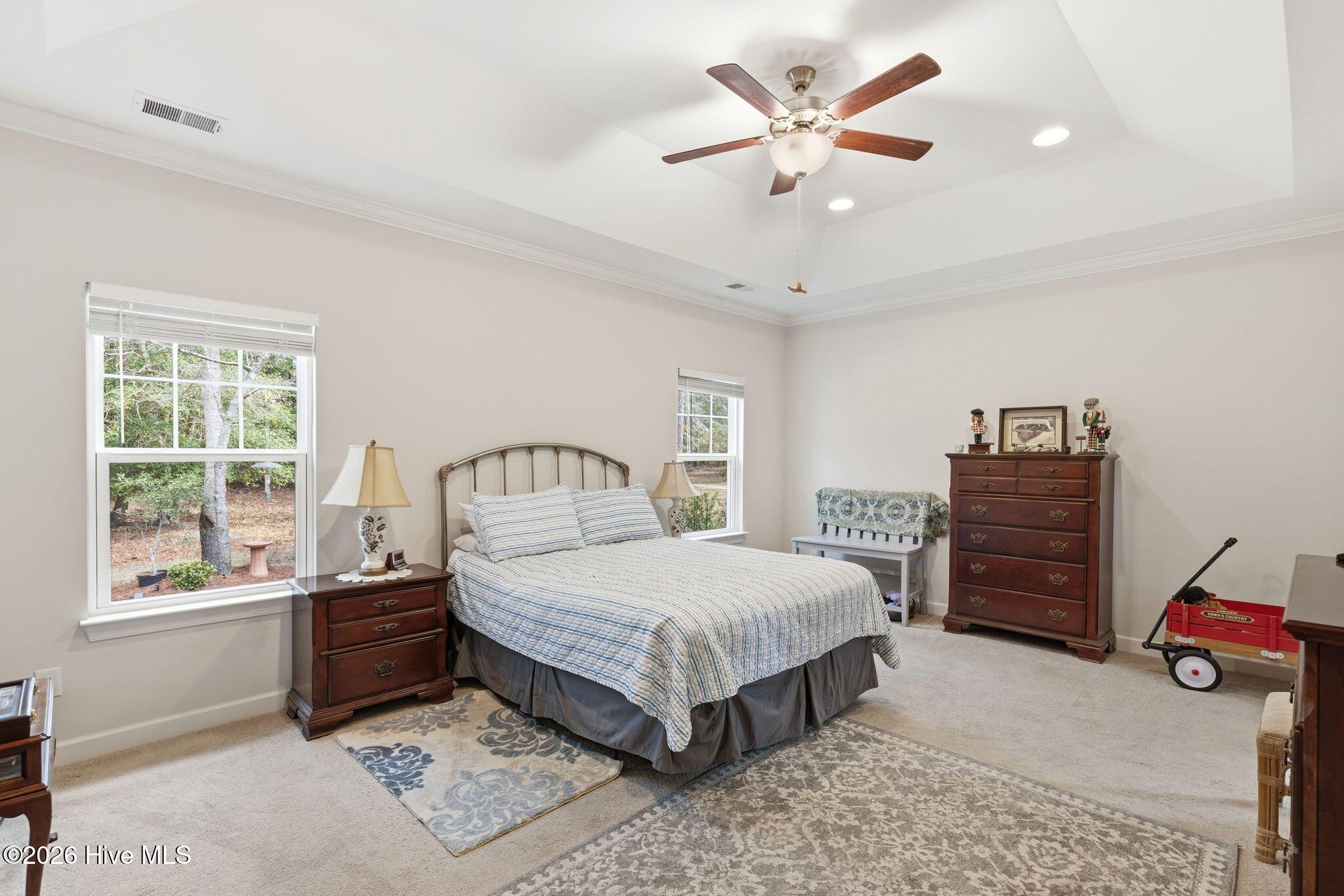 100558681 | Photo 19