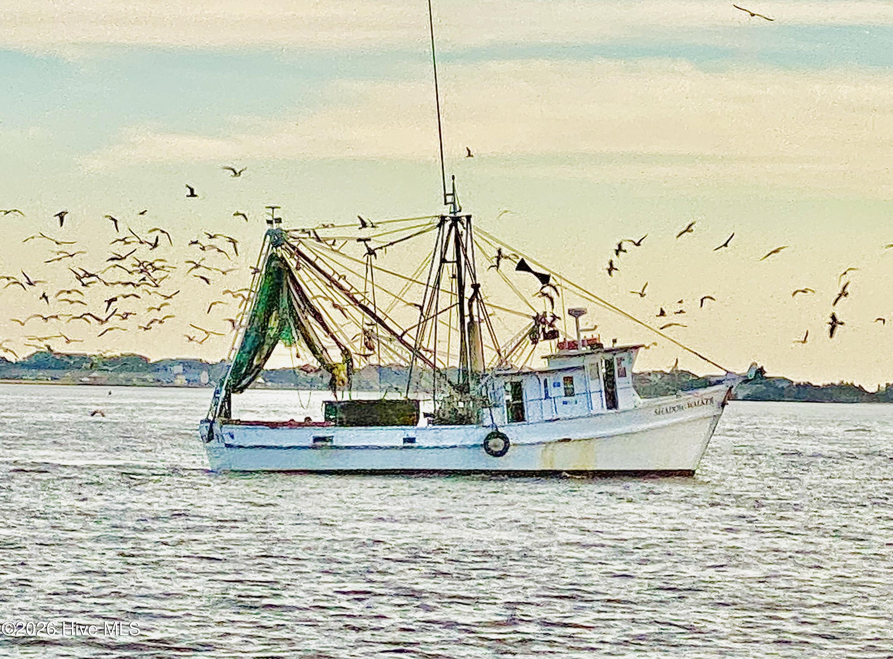 100563749 | Photo 67