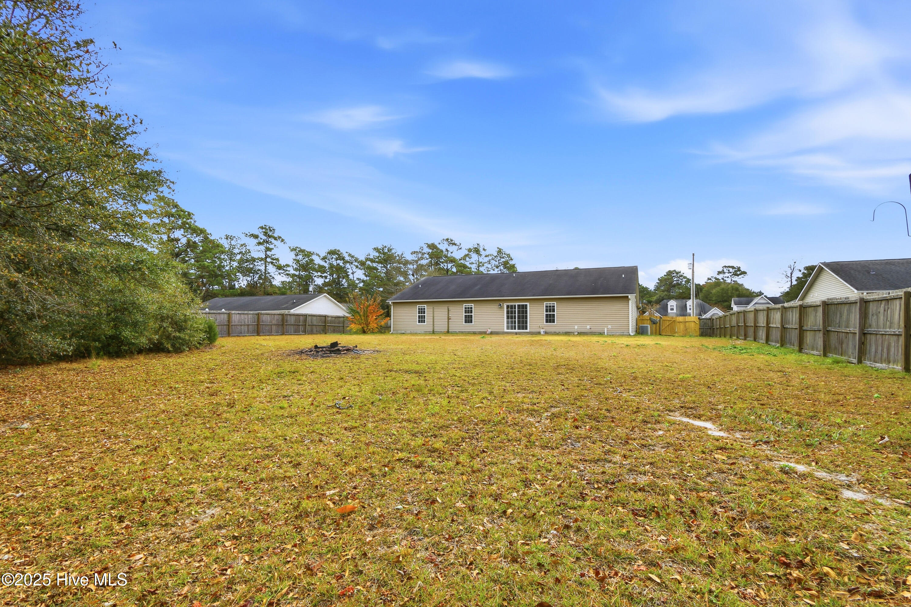 100531186 | Photo 37