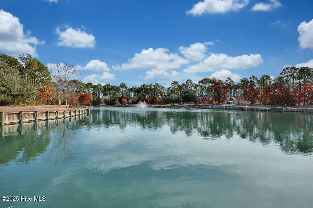 100554585 | Photo 120