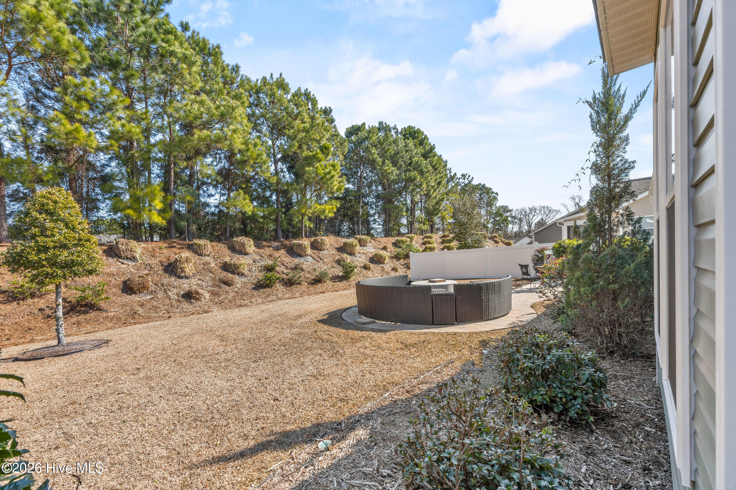 100553871 | Photo 51