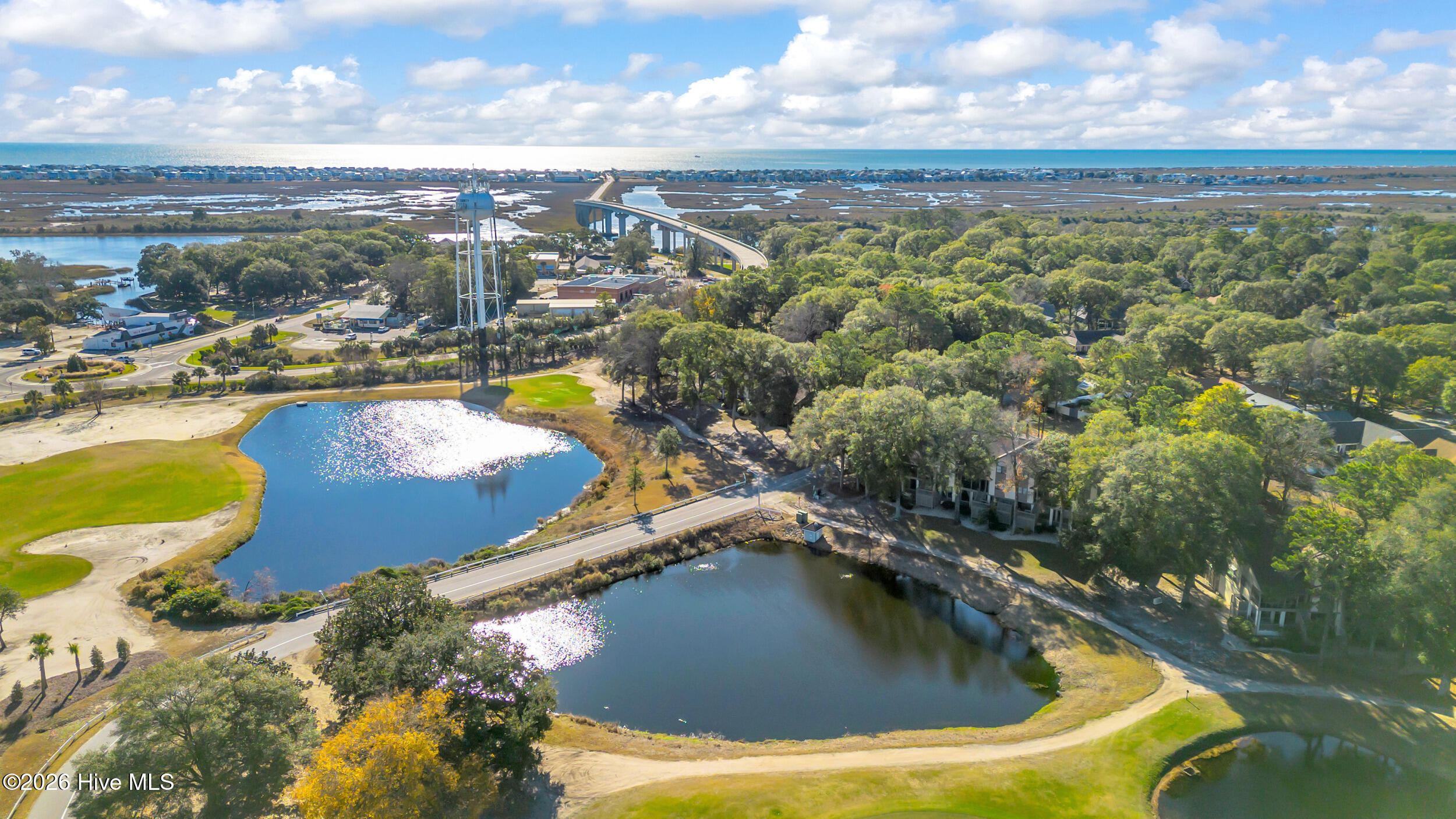 100564154 | Photo 62