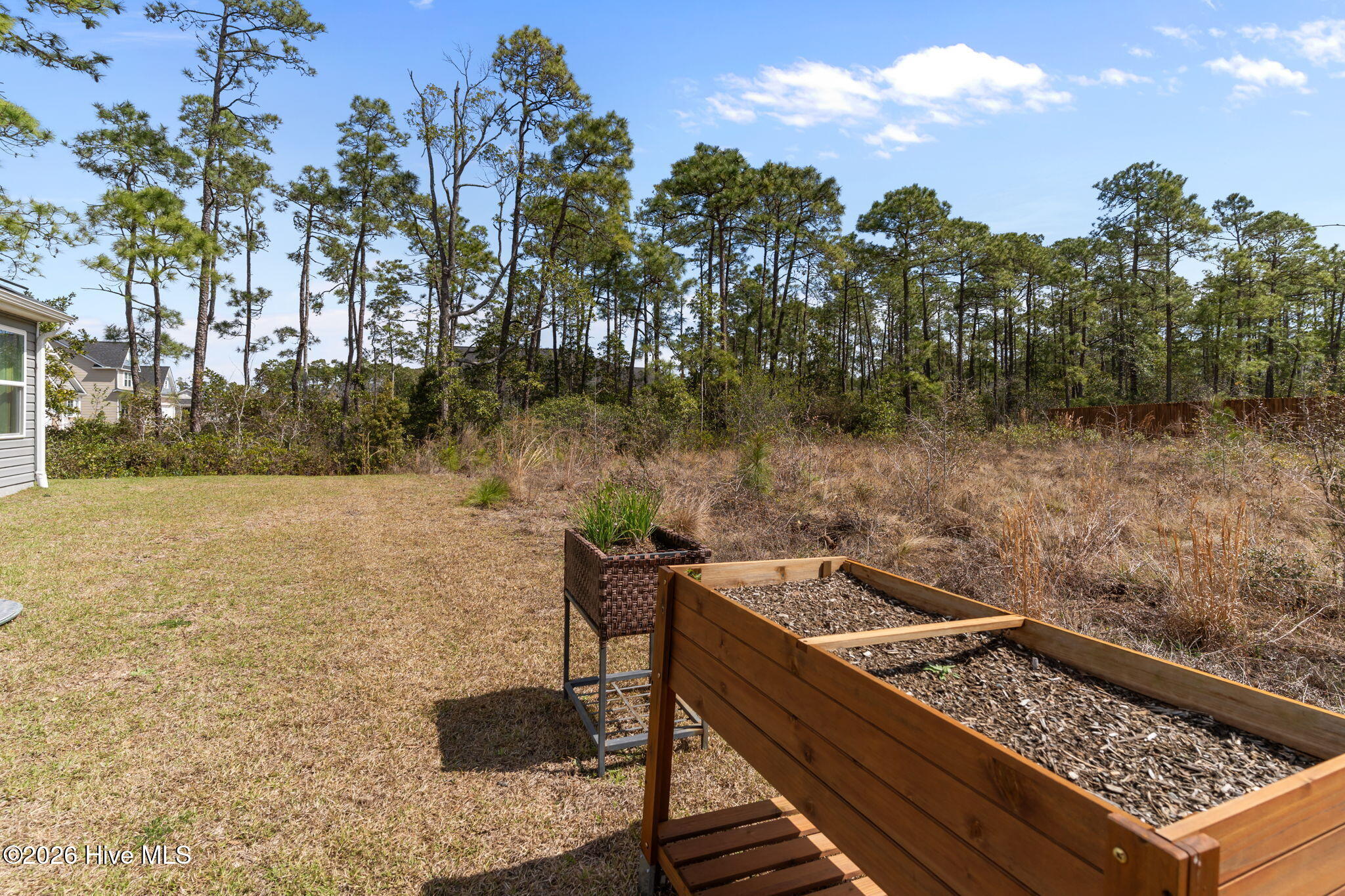 100564485 | Photo 40