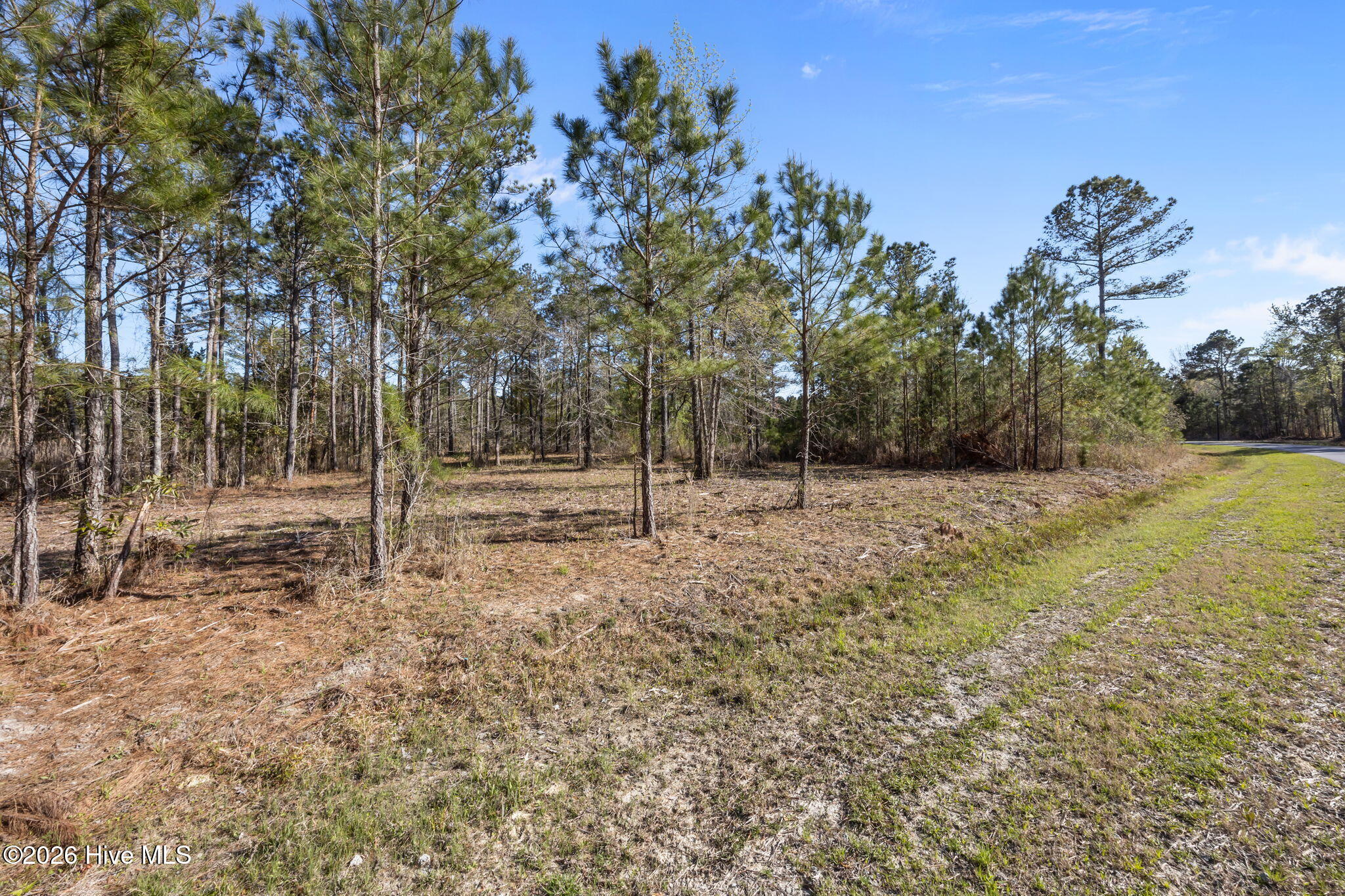 168 31 Shell Castle Lane,Vandemere