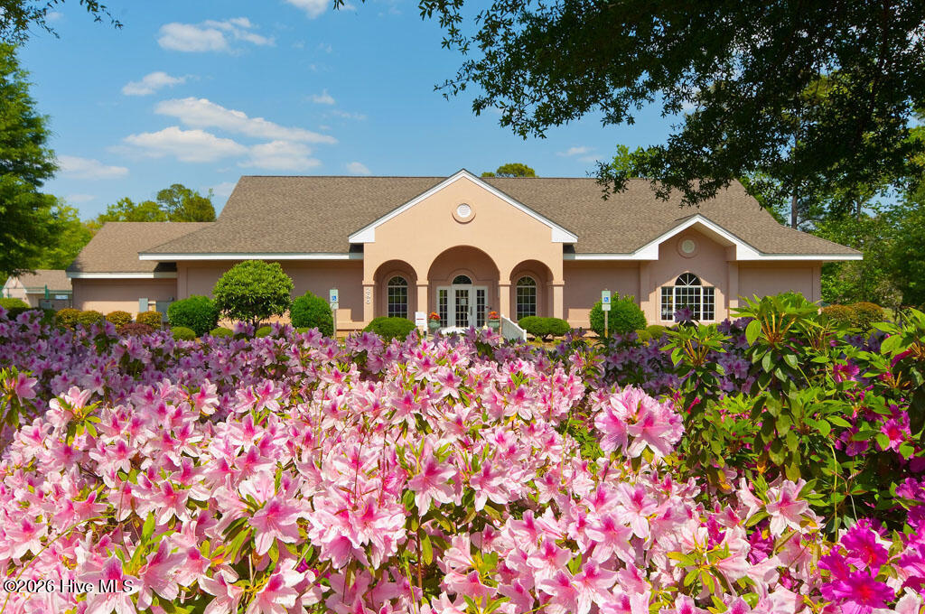 100562919 | Photo 80