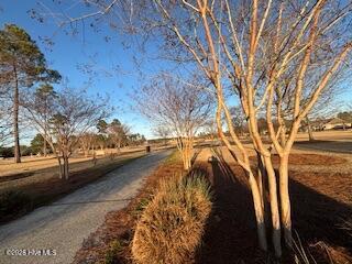 100558874 | Photo 49