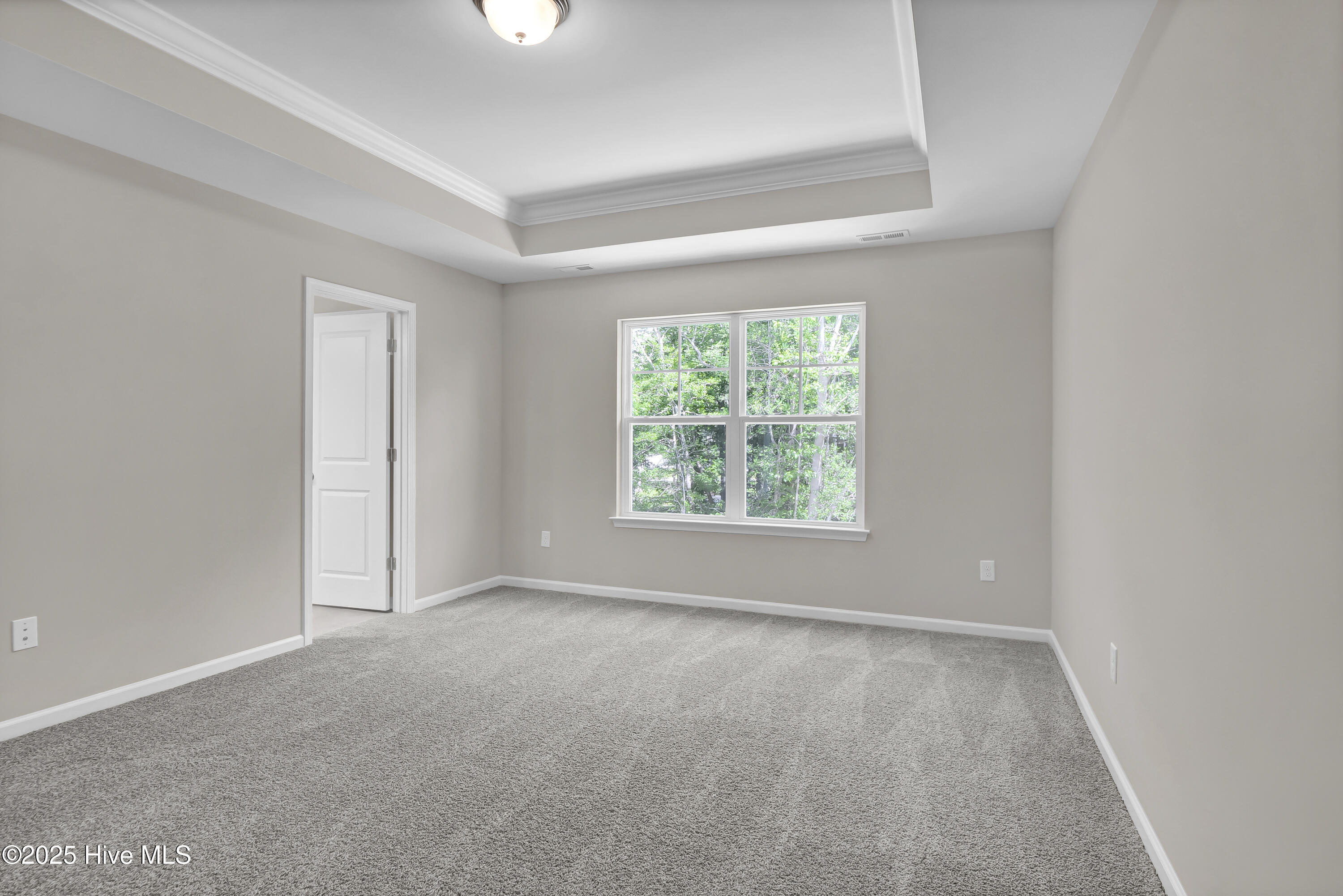 100514629 | Photo 16