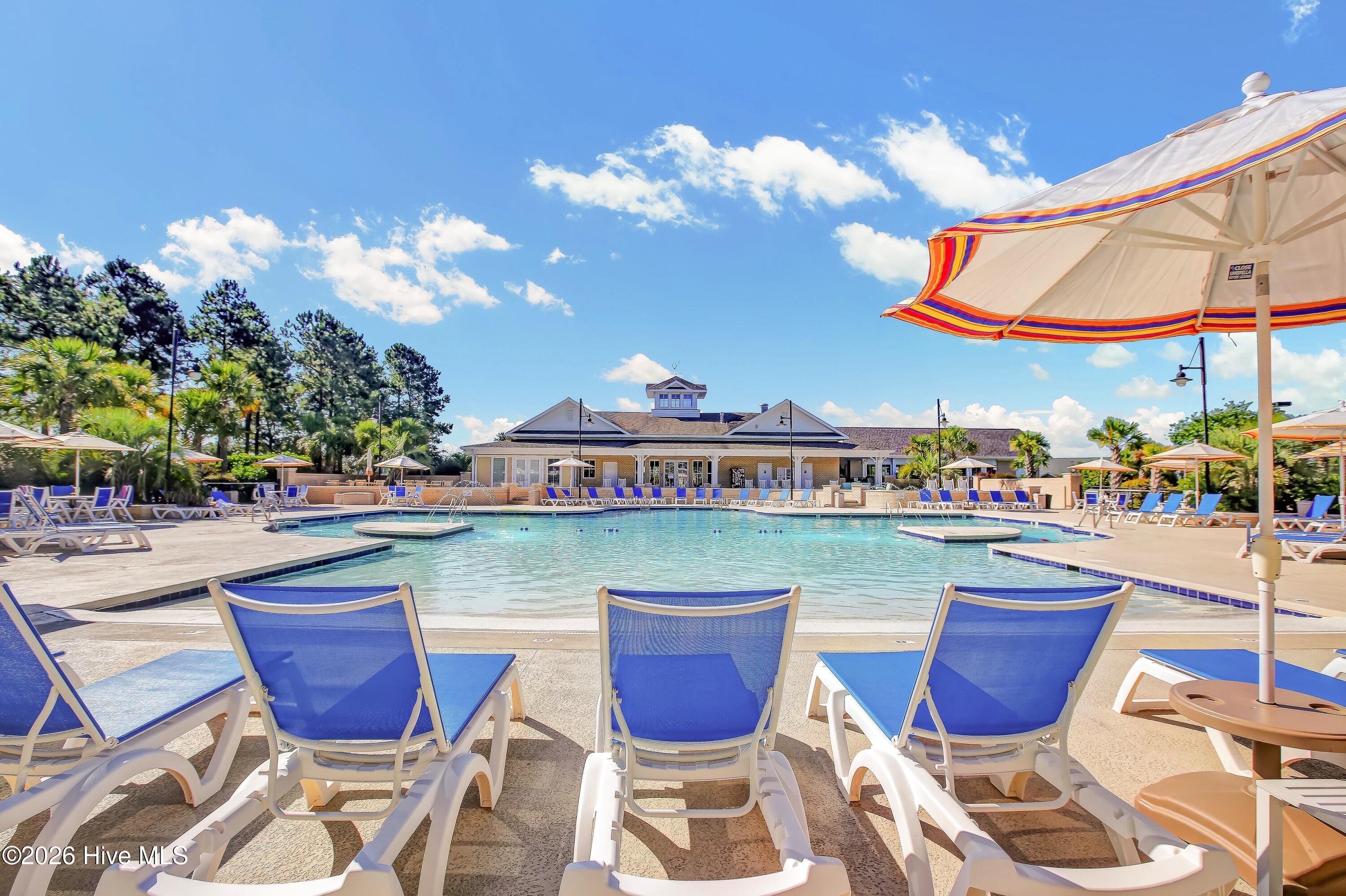 100554924 | Photo 41