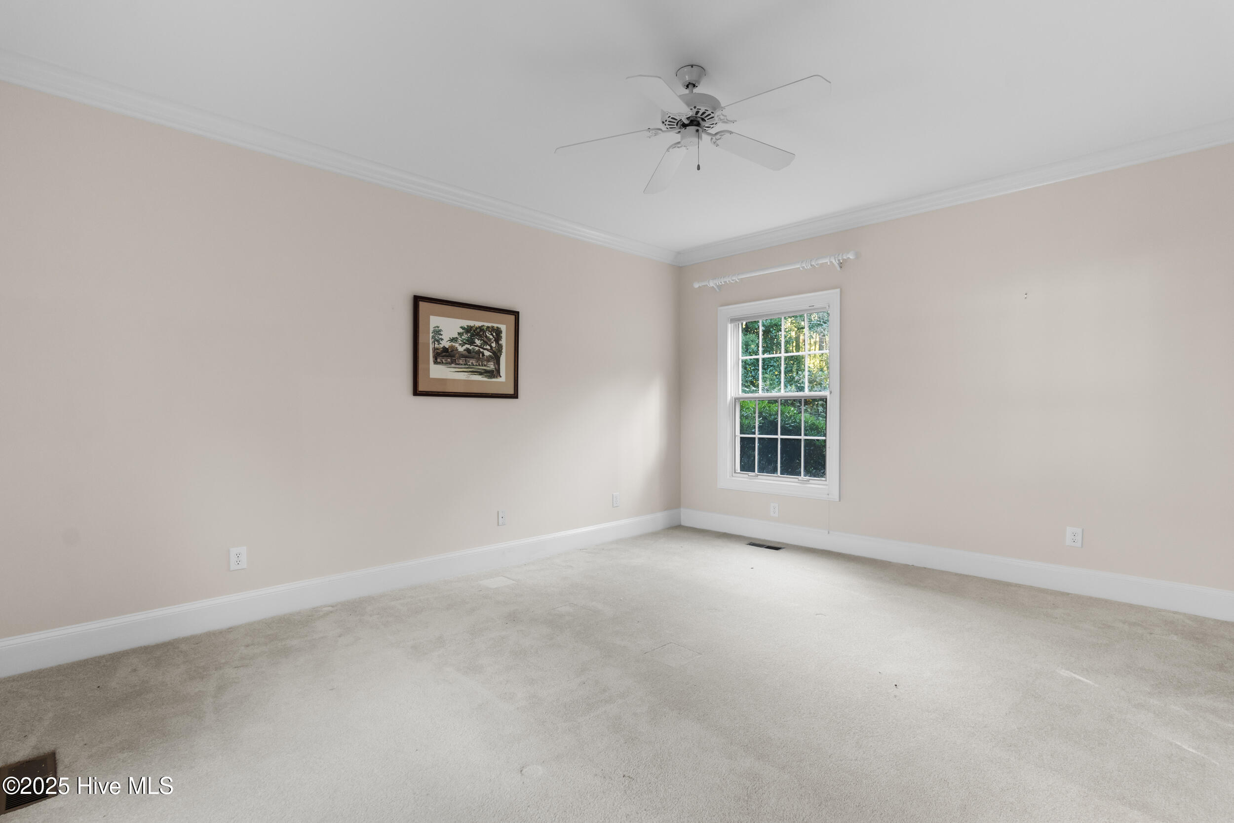 100516126 | Photo 11