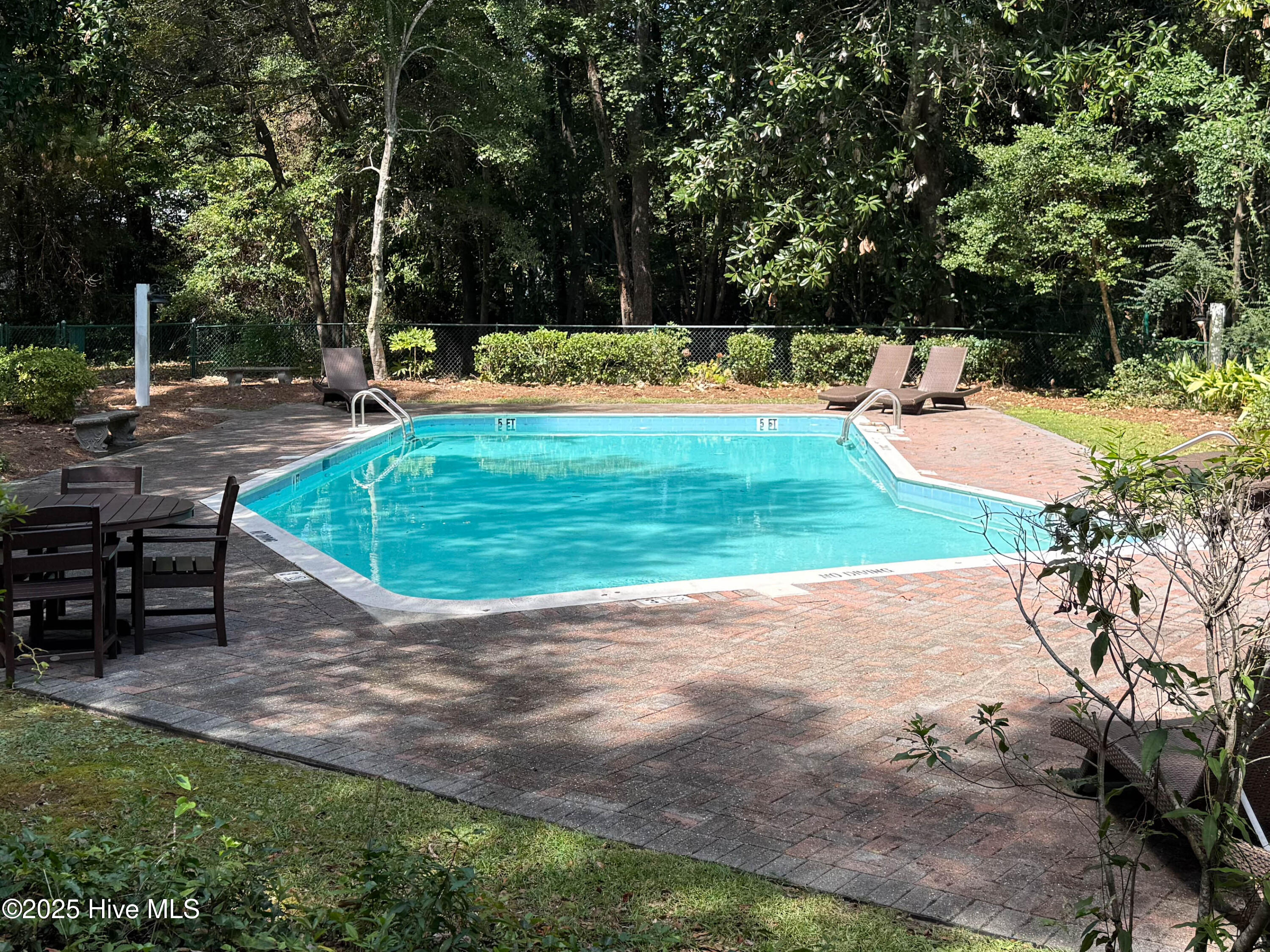 100561292 | Photo 97