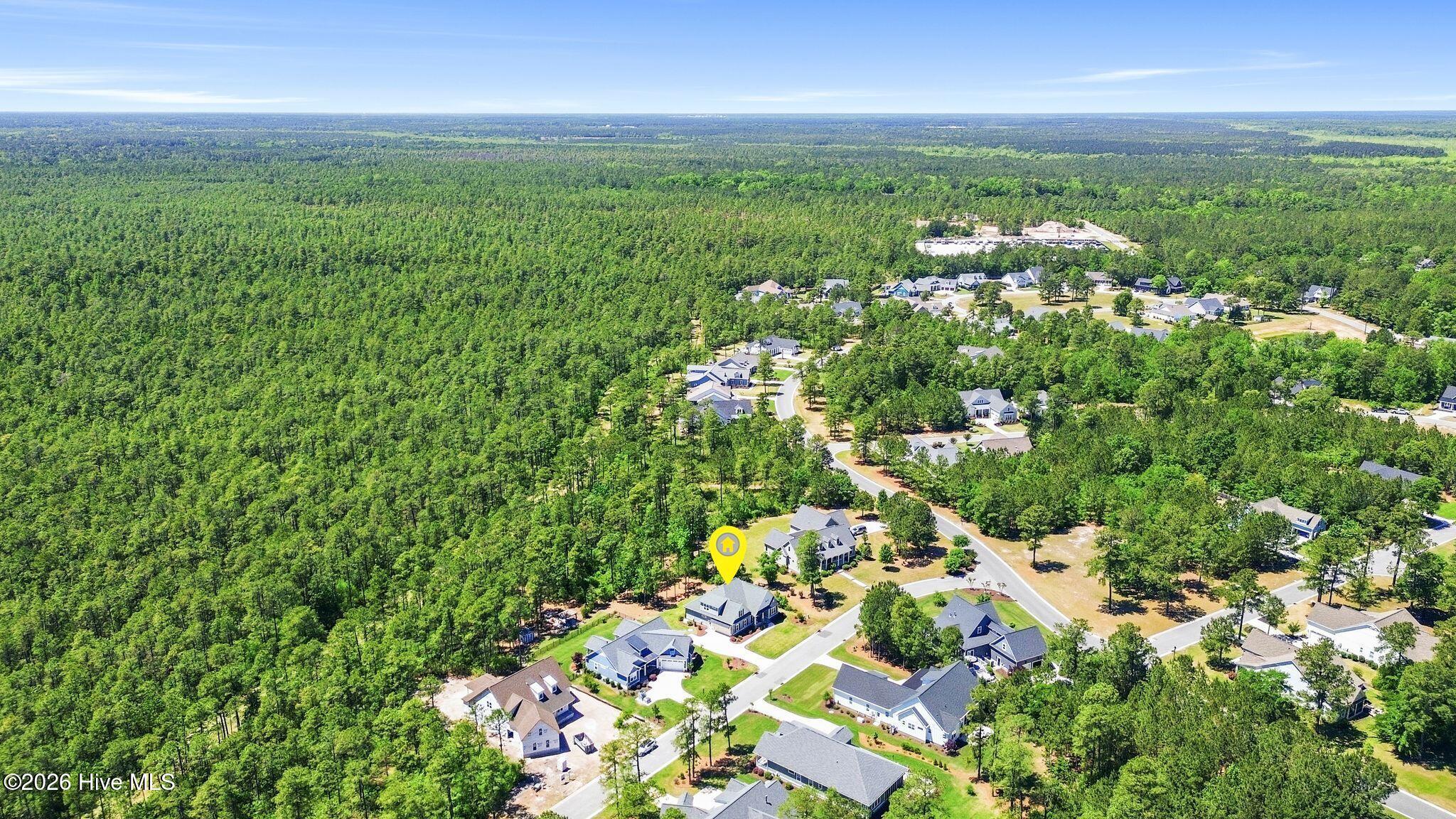 100569004 | Photo 56