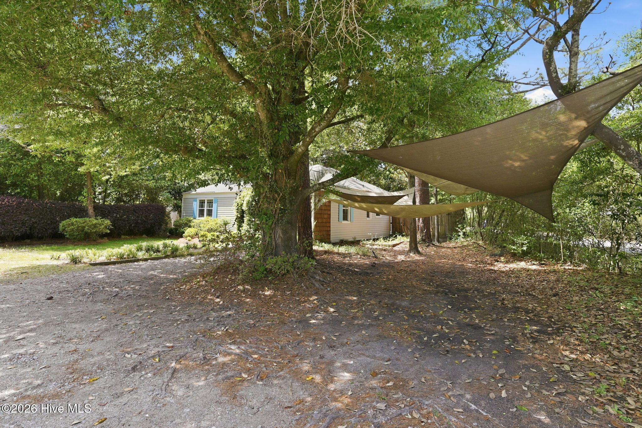 100570654 | Photo 35