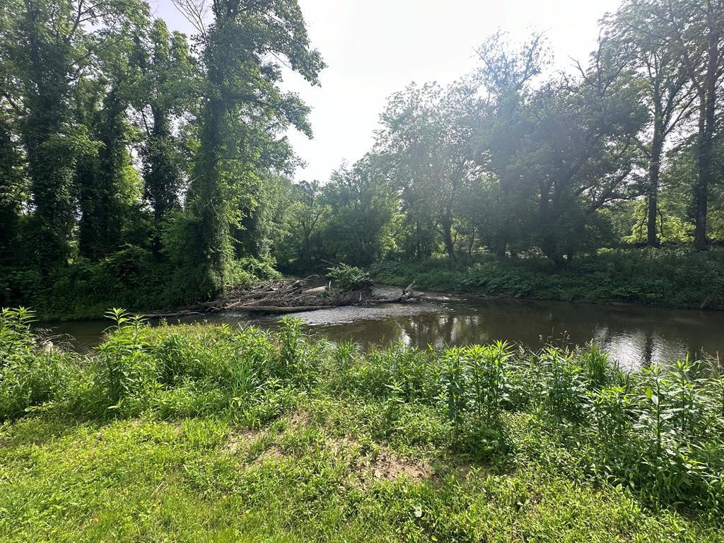Listing Photo 98519386