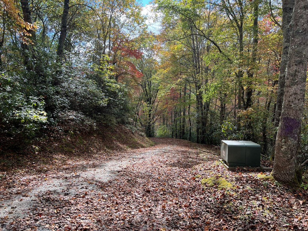 Homes for sale in Nantahala, NC | Lot 17 Black Bear Trl, Nantahala, NC 28781 | MLS# 98524271