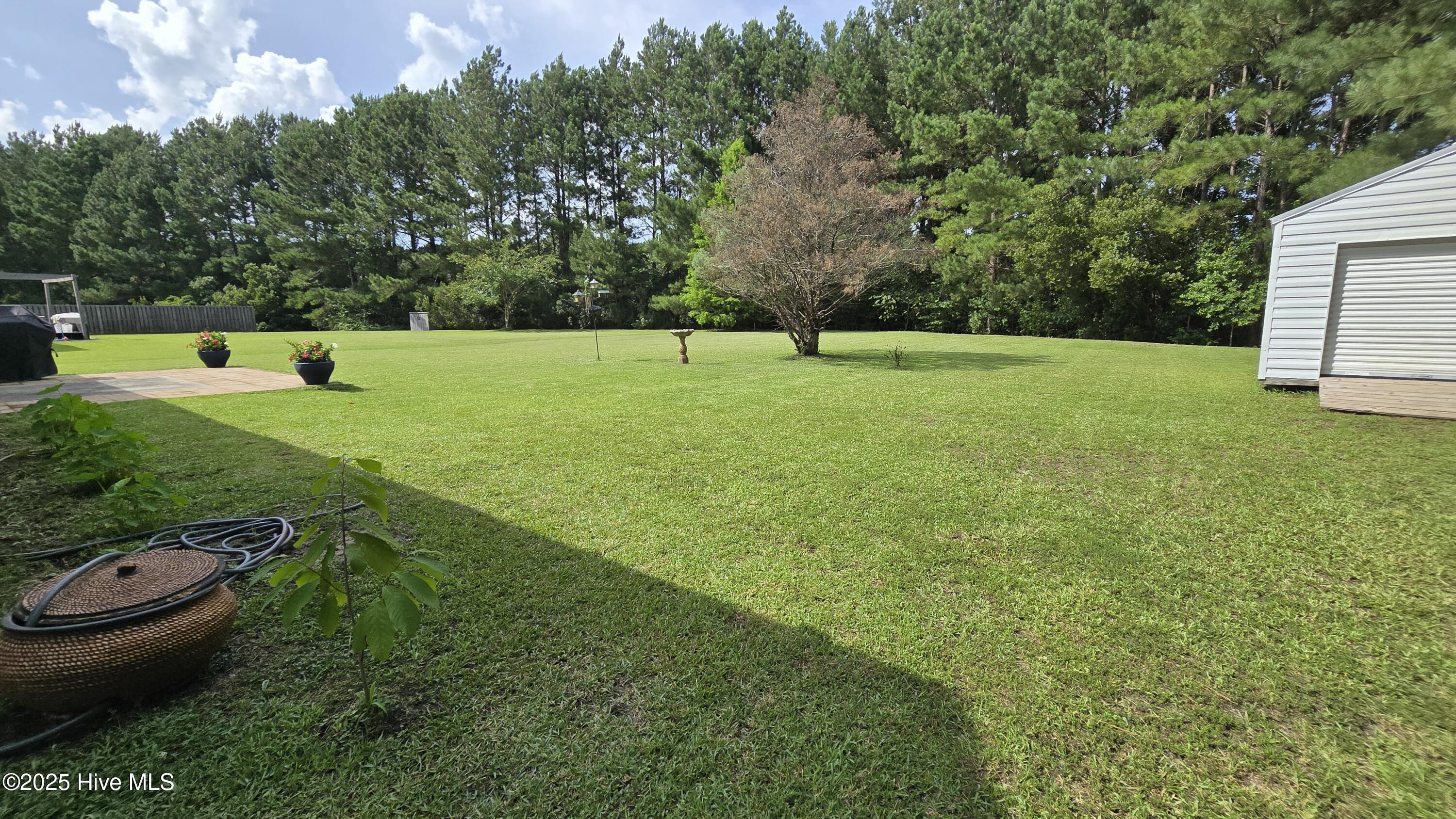 108 Willowbend Drive, Burgaw, NC 28425 – photo 9: Large yard over 1/2 acre