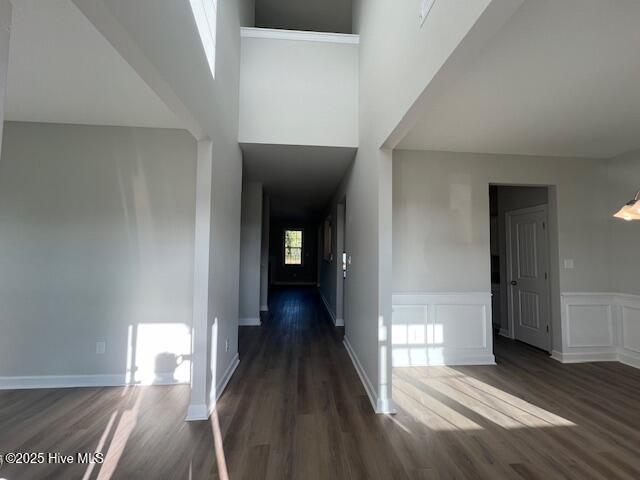 100563437 | Photo 28