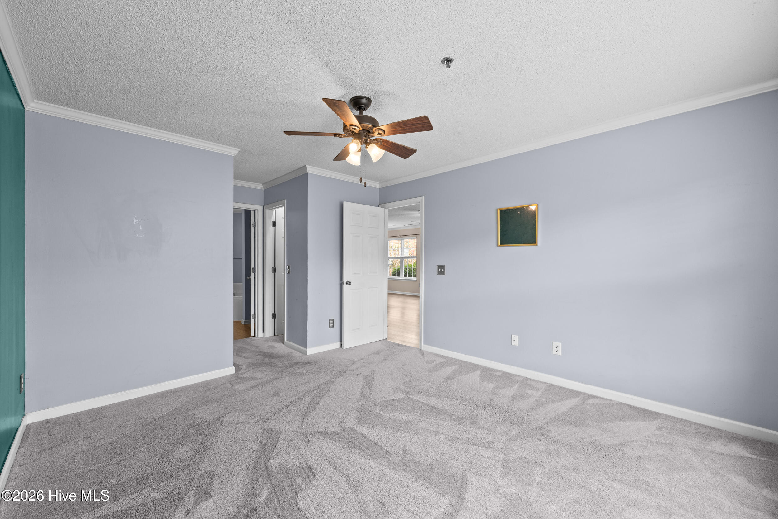 100564303 | Photo 27