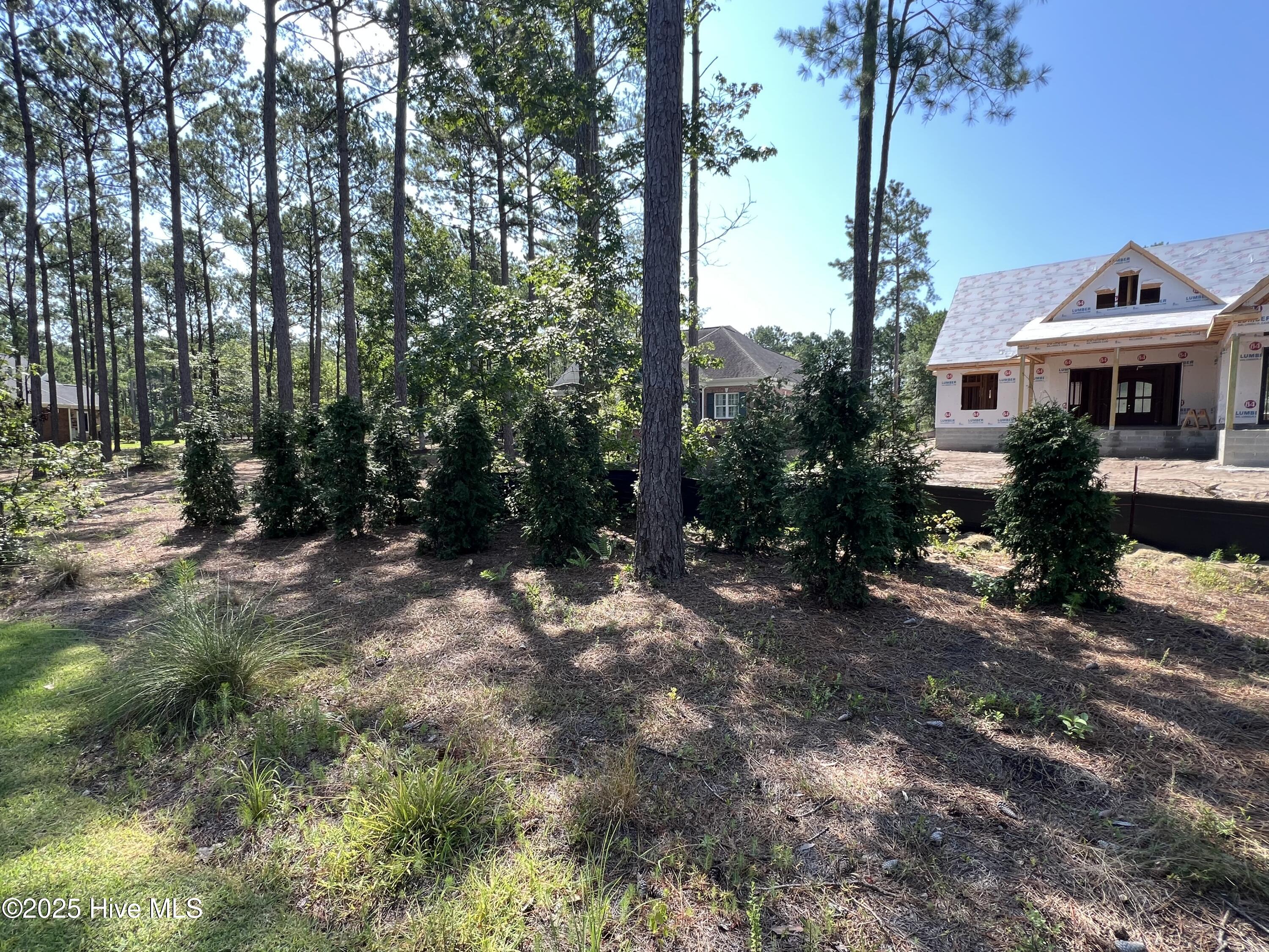 100518368 | Photo 96